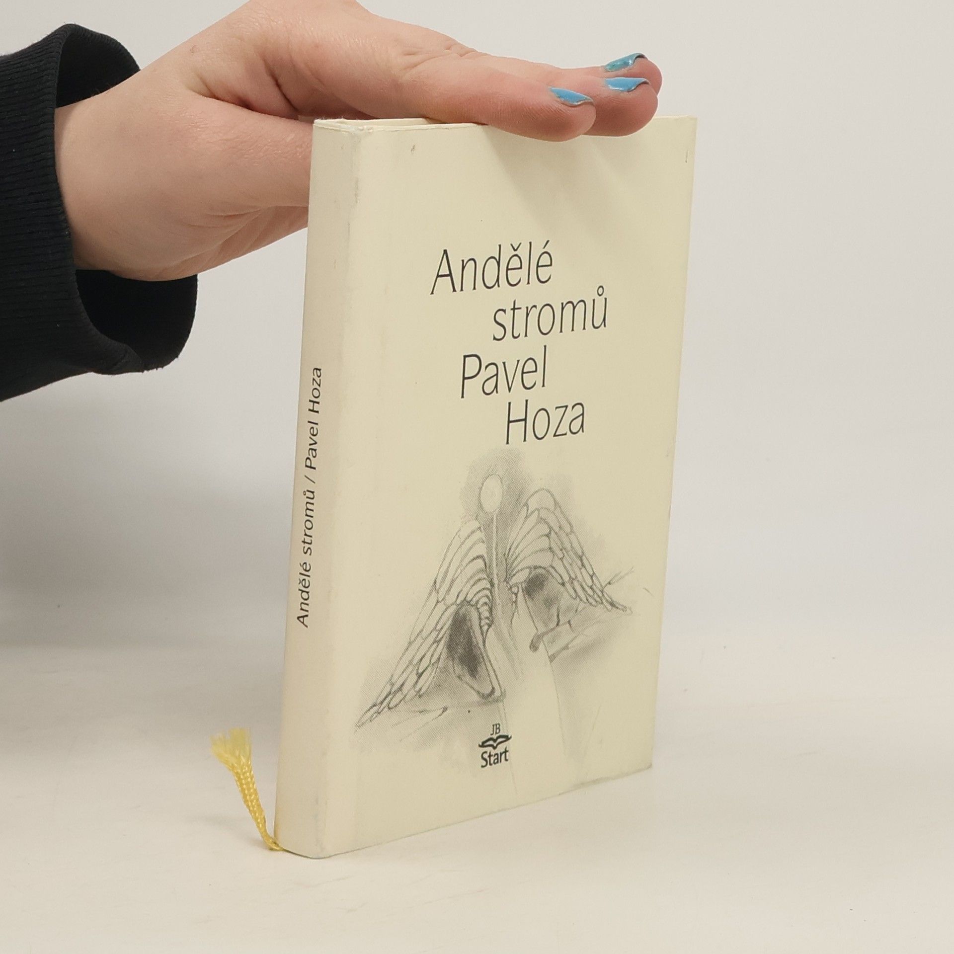 Pavel Hoza Andělé stromů