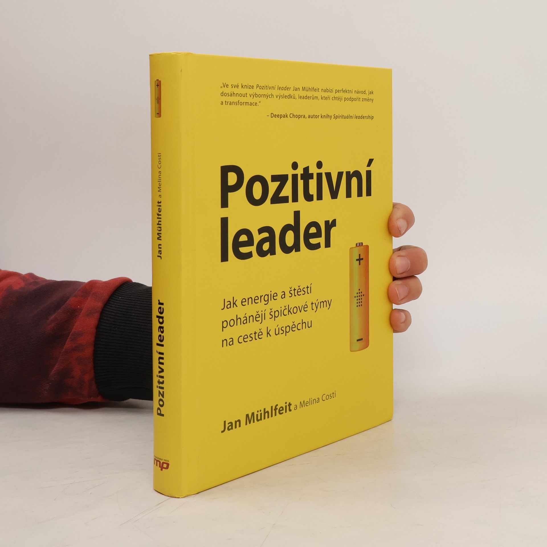 Jan Mühlfeit Pozitivní leader
