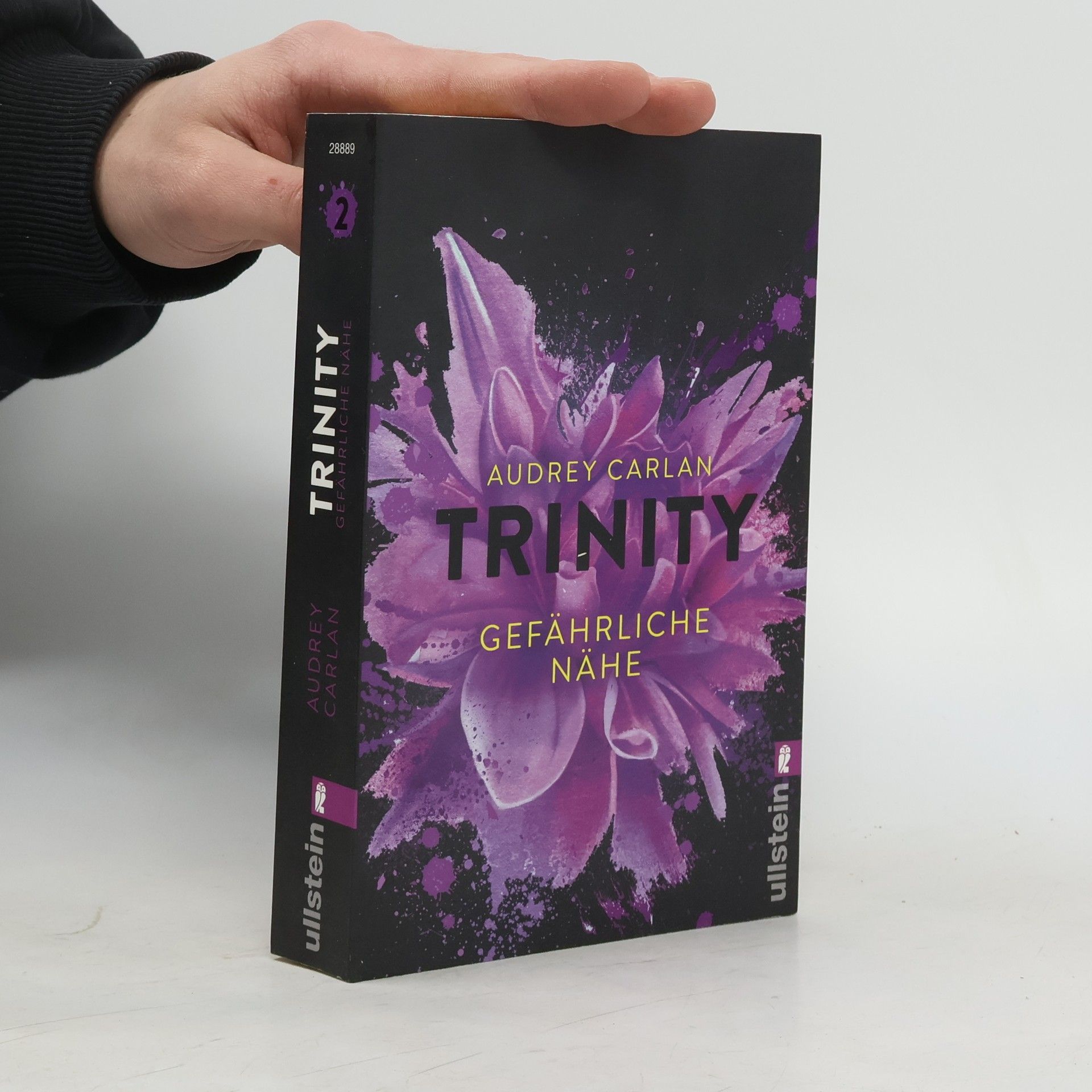 Audrey Carlan Trinity: Gefährliche Nähe
