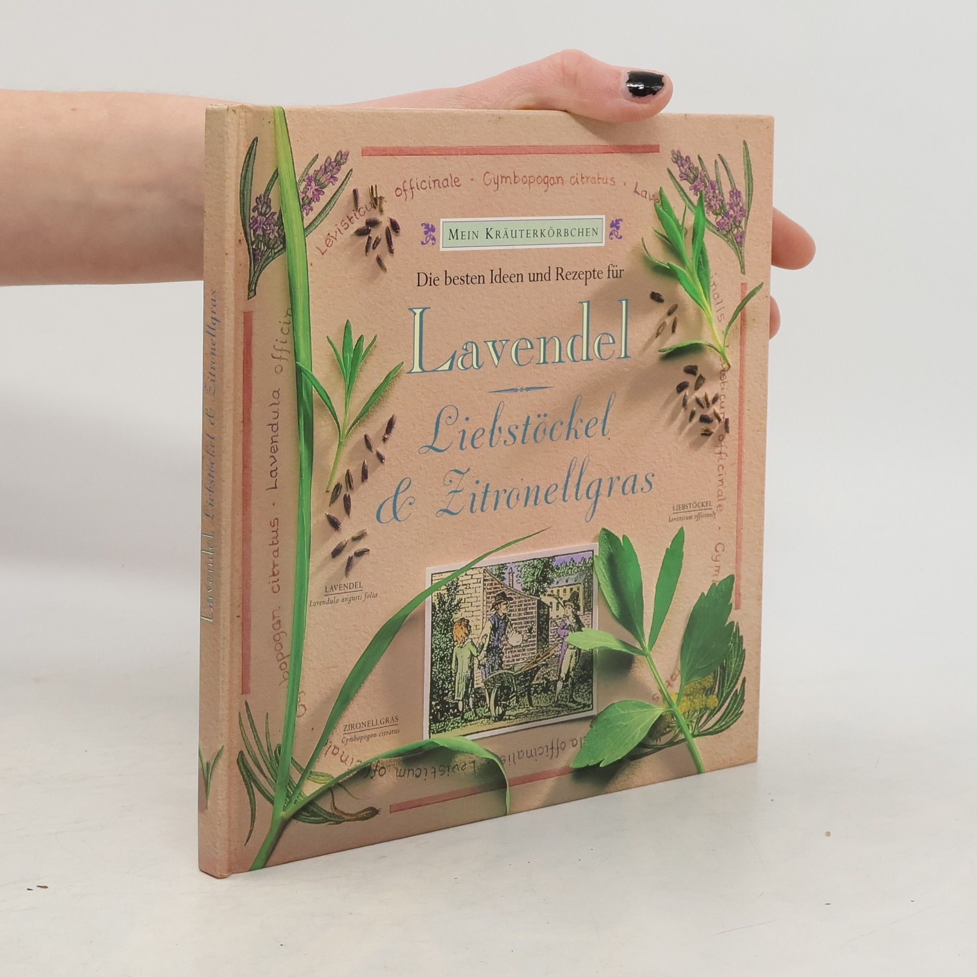 Gloria Nicol Die besten Ideen und Rezepte für Lavendel, Liebstöckel & Zitronellgras