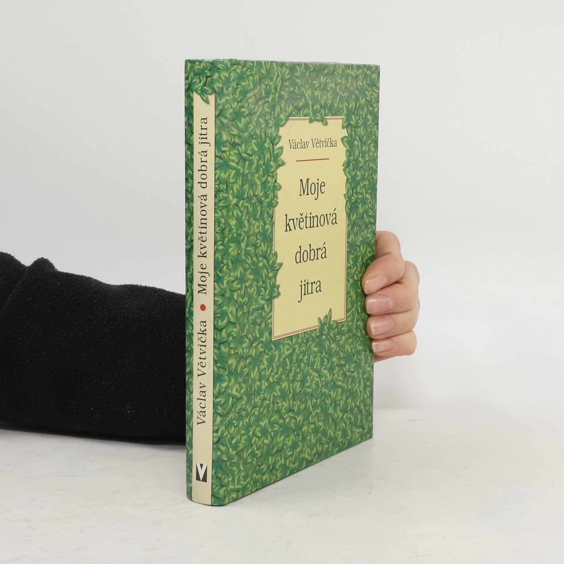 Václav Větvička Moje květinová dobrá jitra