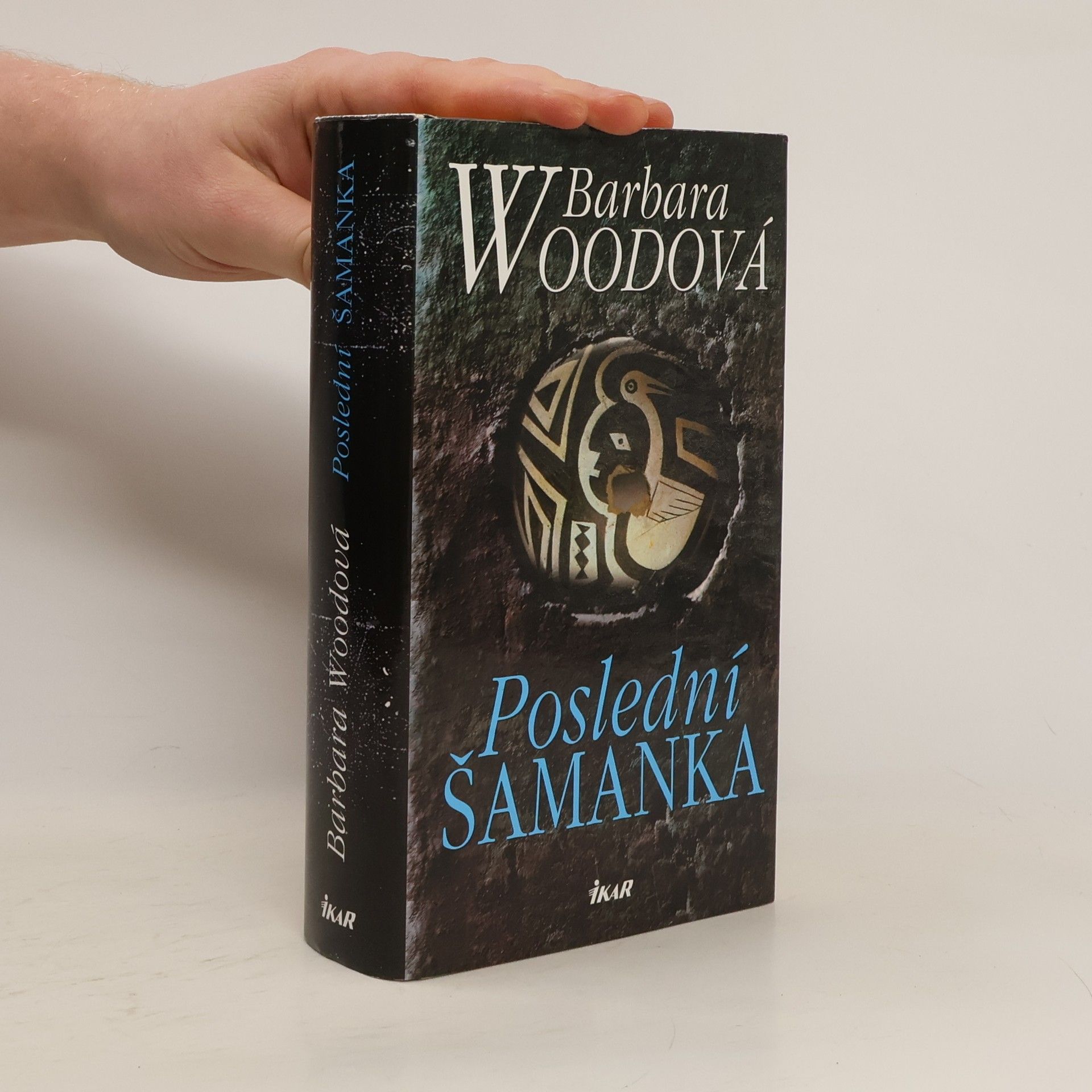 Barbara Wood Poslední šamanka