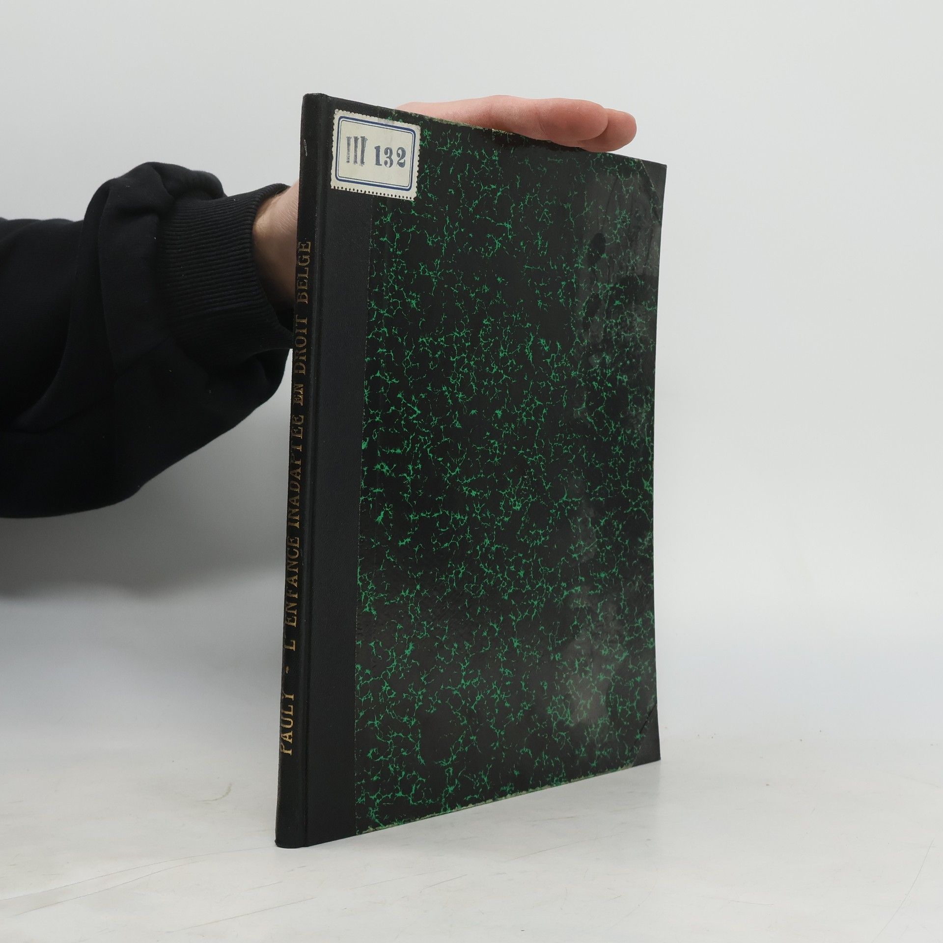 Jean Pauly L'enfance inadaptée en droit belge