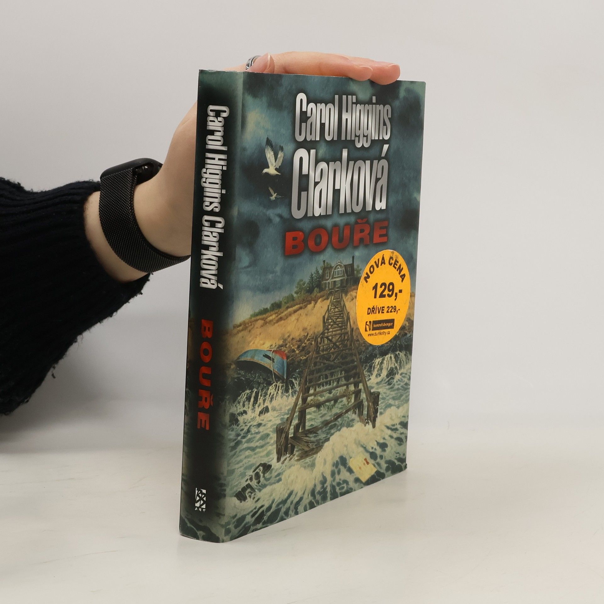 Carol Higgins Clark Bouře