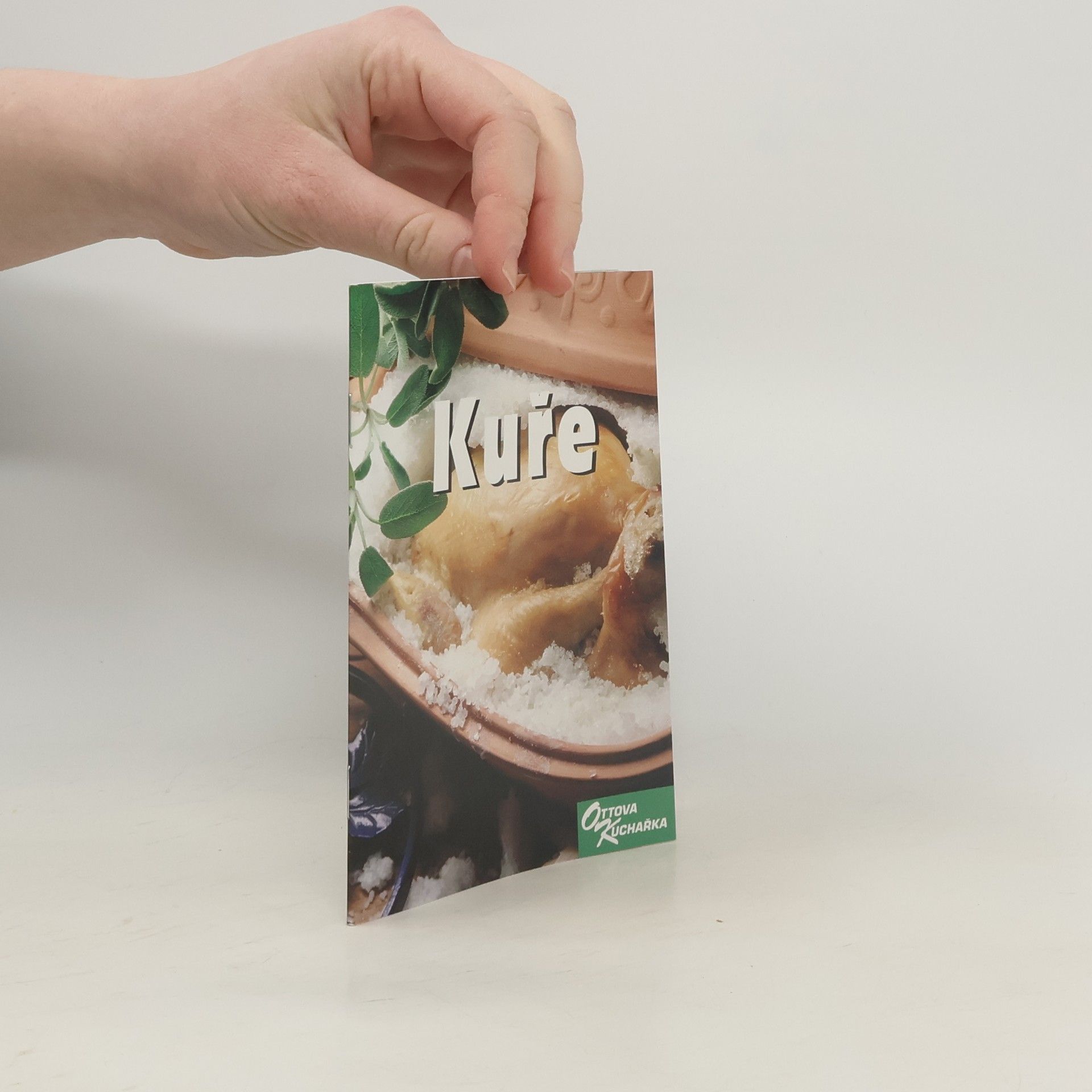 Various authors Kuře