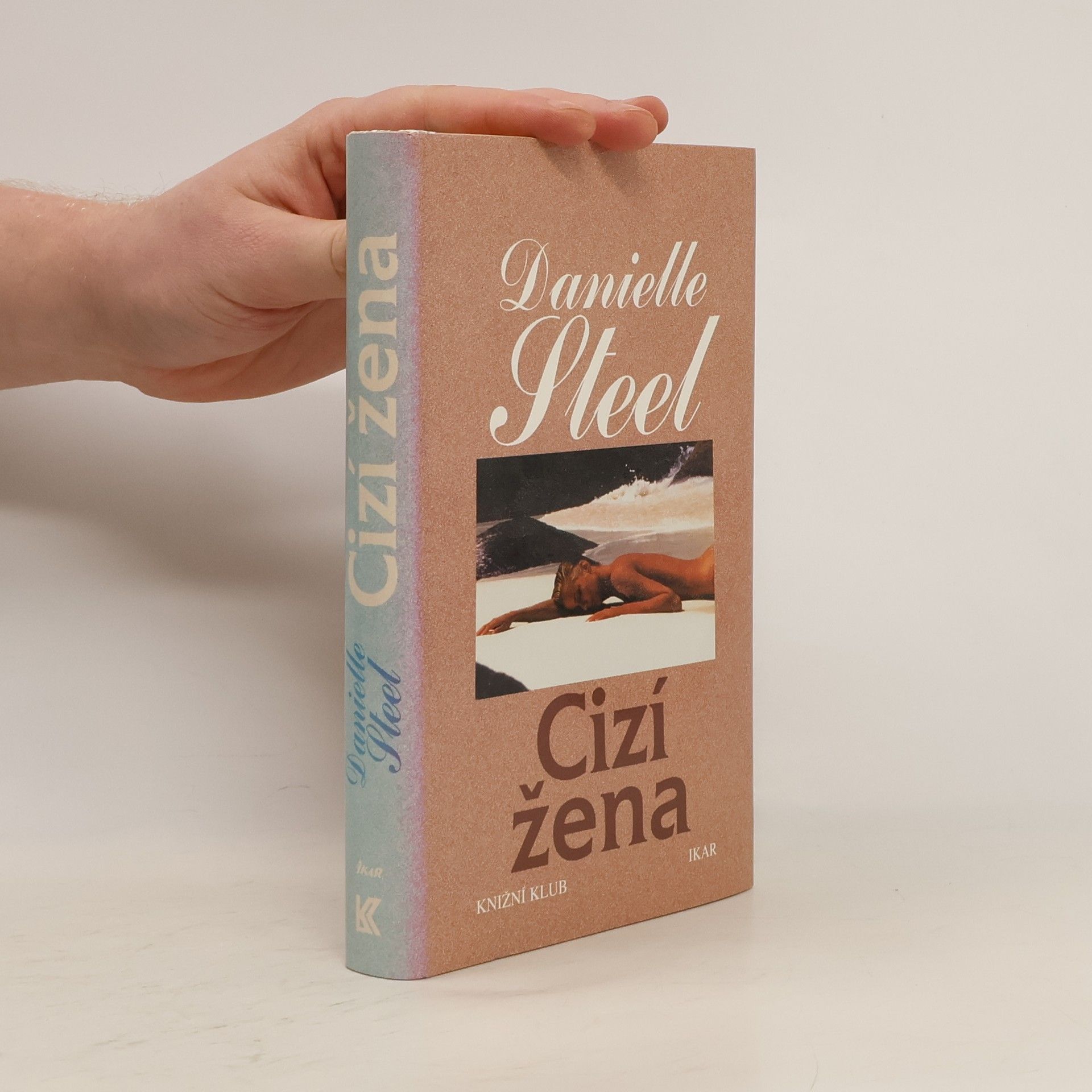 Danielle Steelová Cizí žena