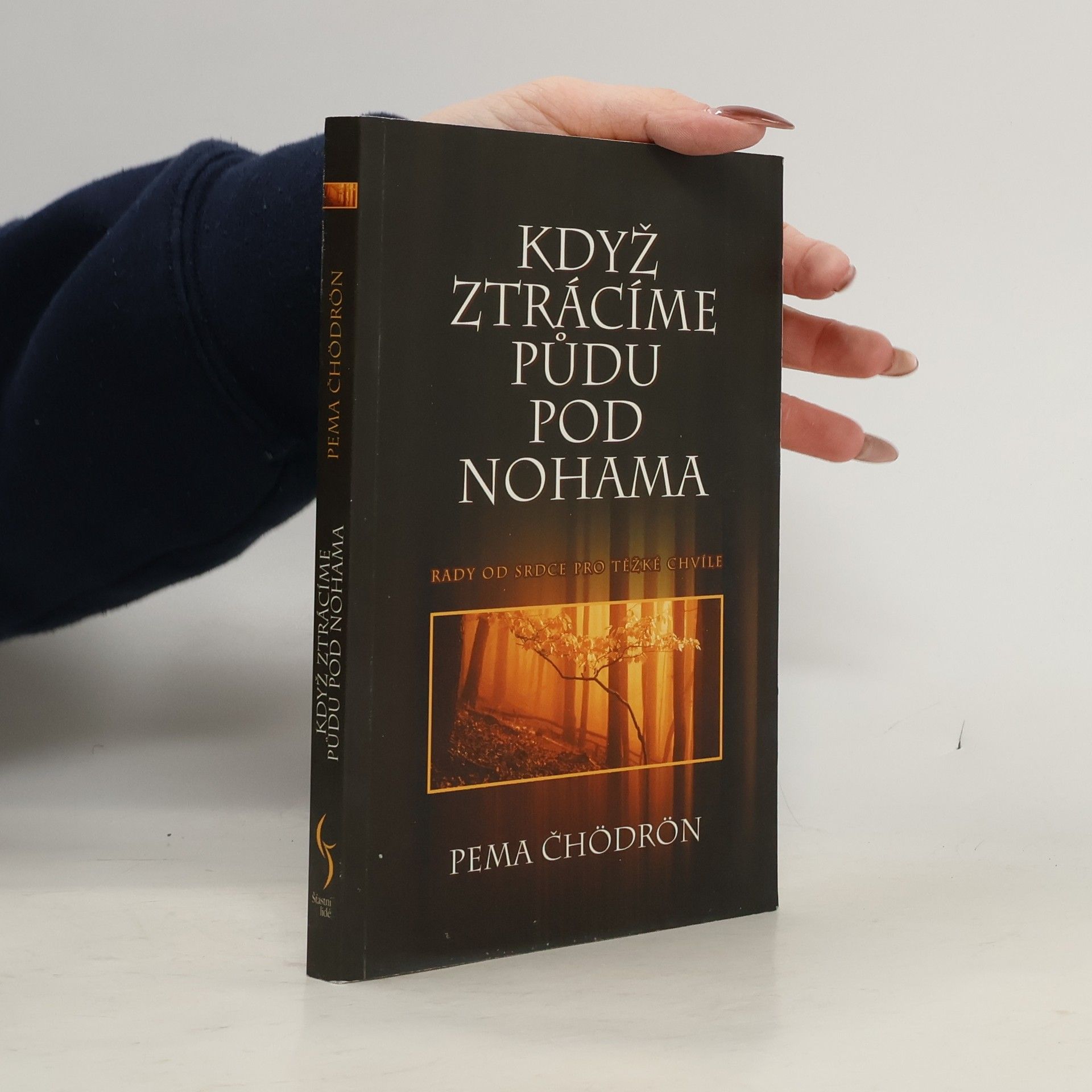 Pema Chödrön Když ztrácíme půdu pod nohama