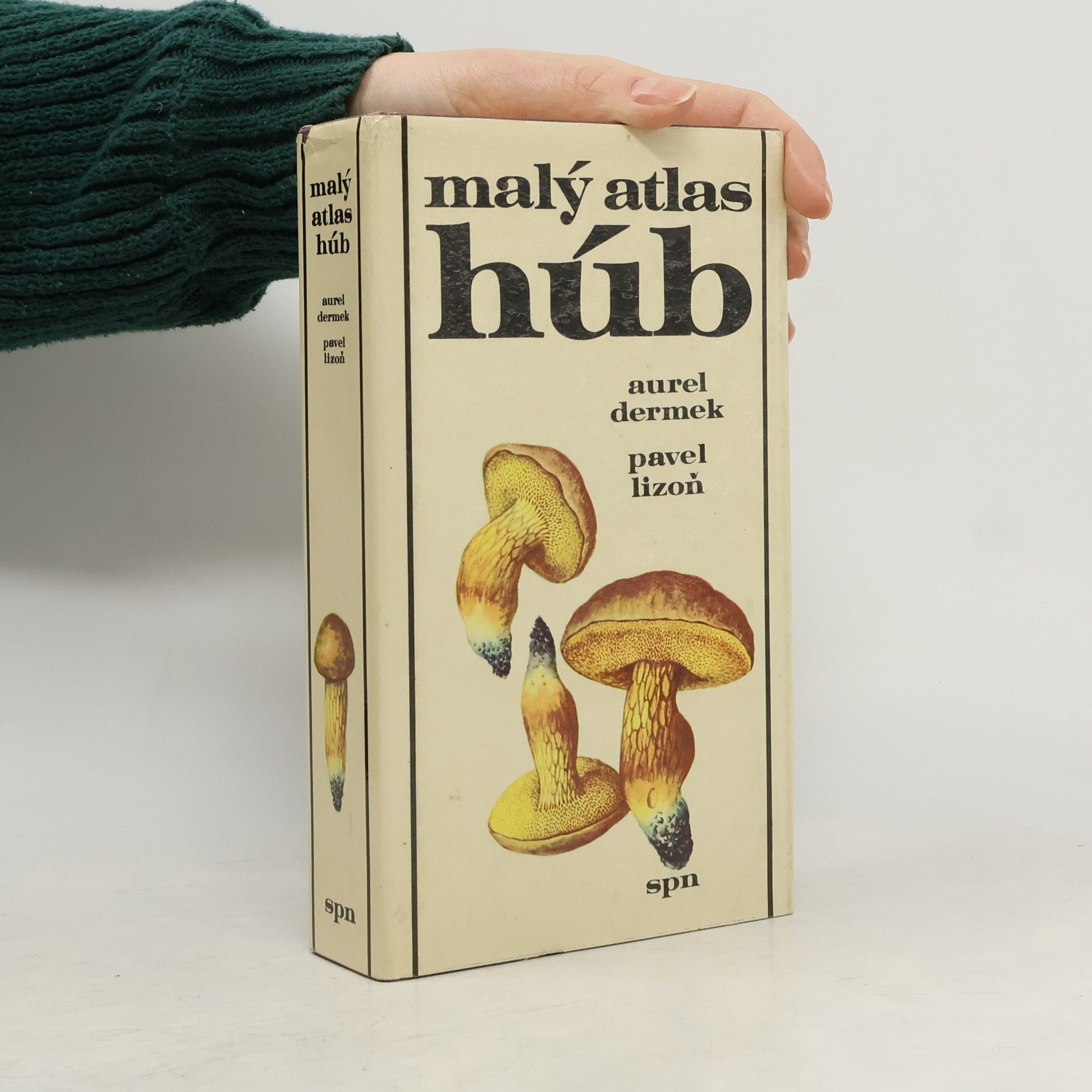 Aurel Dermek Malý atlas húb