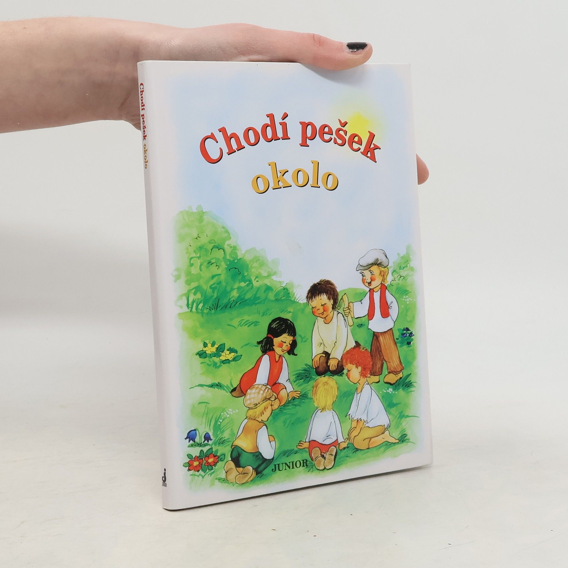 Vladimíra Vopičková Chodí pešek okolo (leporelo)