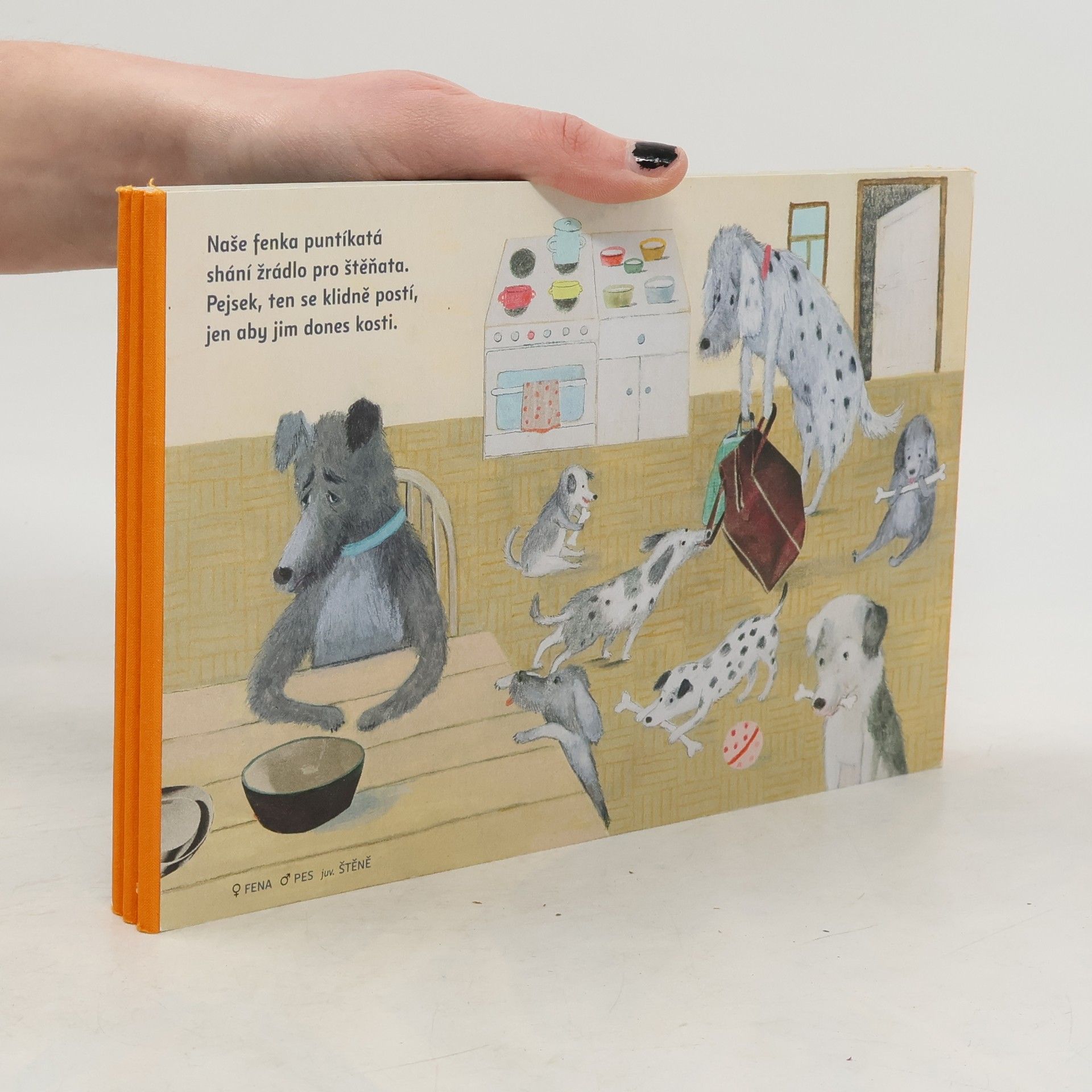 Robin Král Když dá husa huse pusu