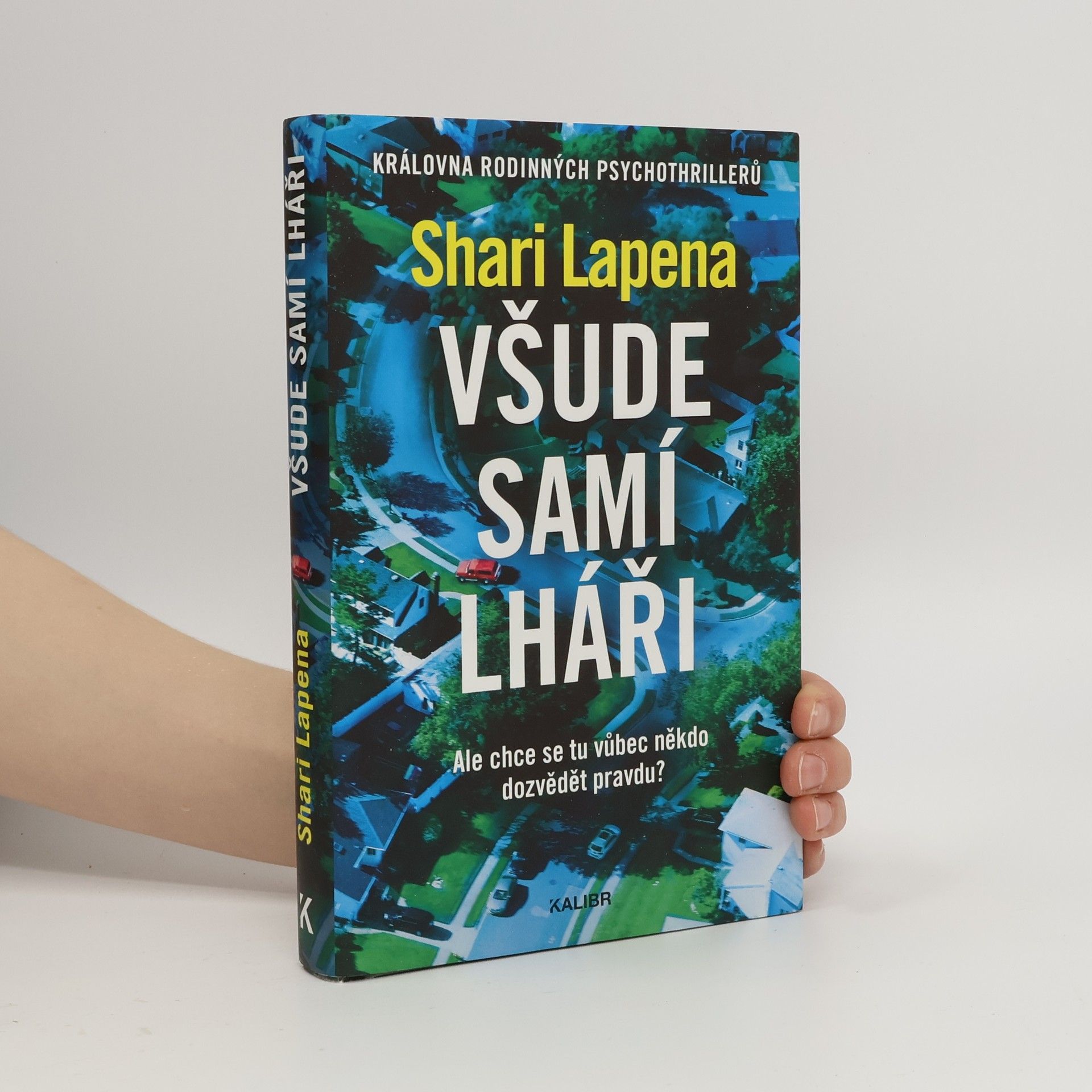 Shari Lapena Všude samí lháři