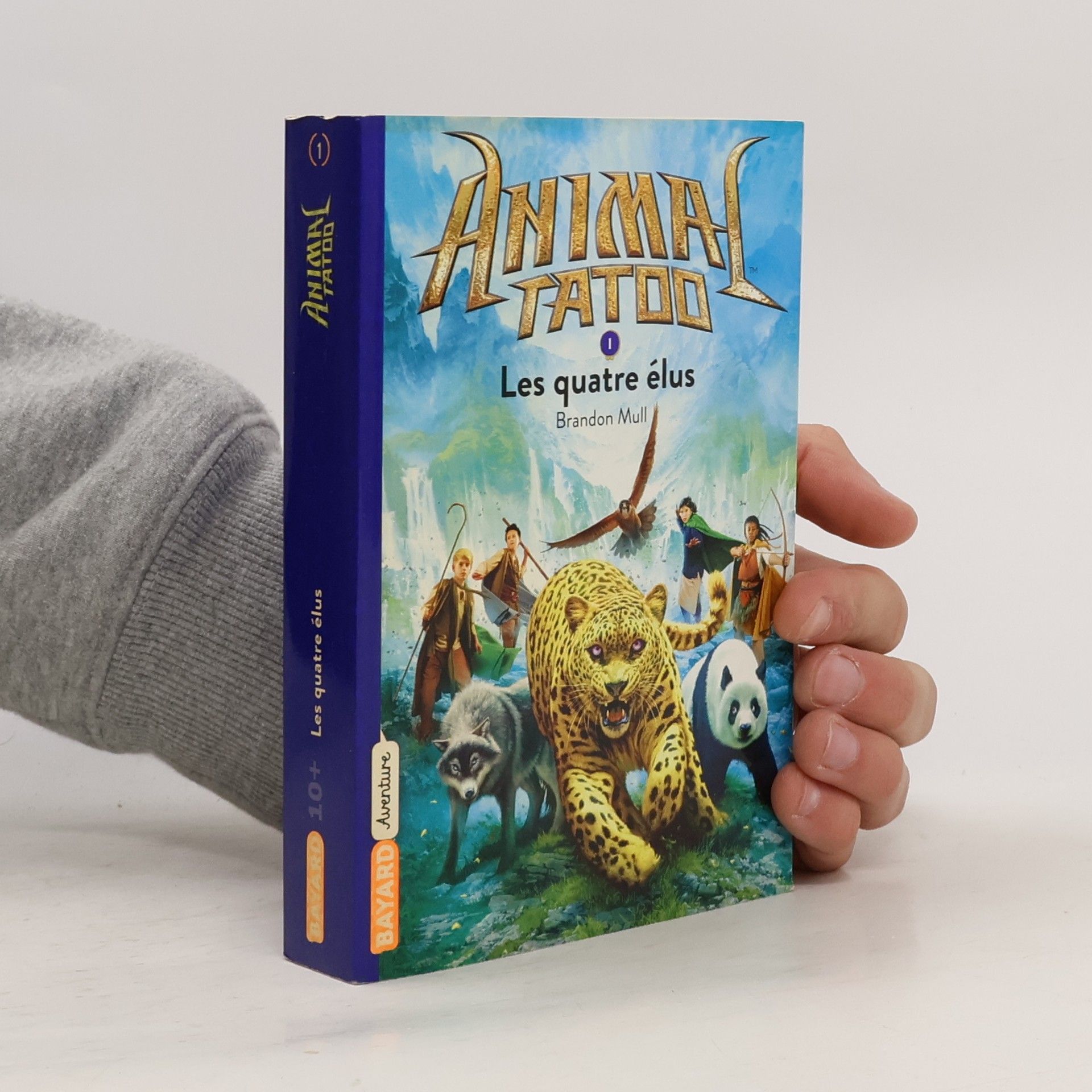 Brandon Mull Les quatres élus