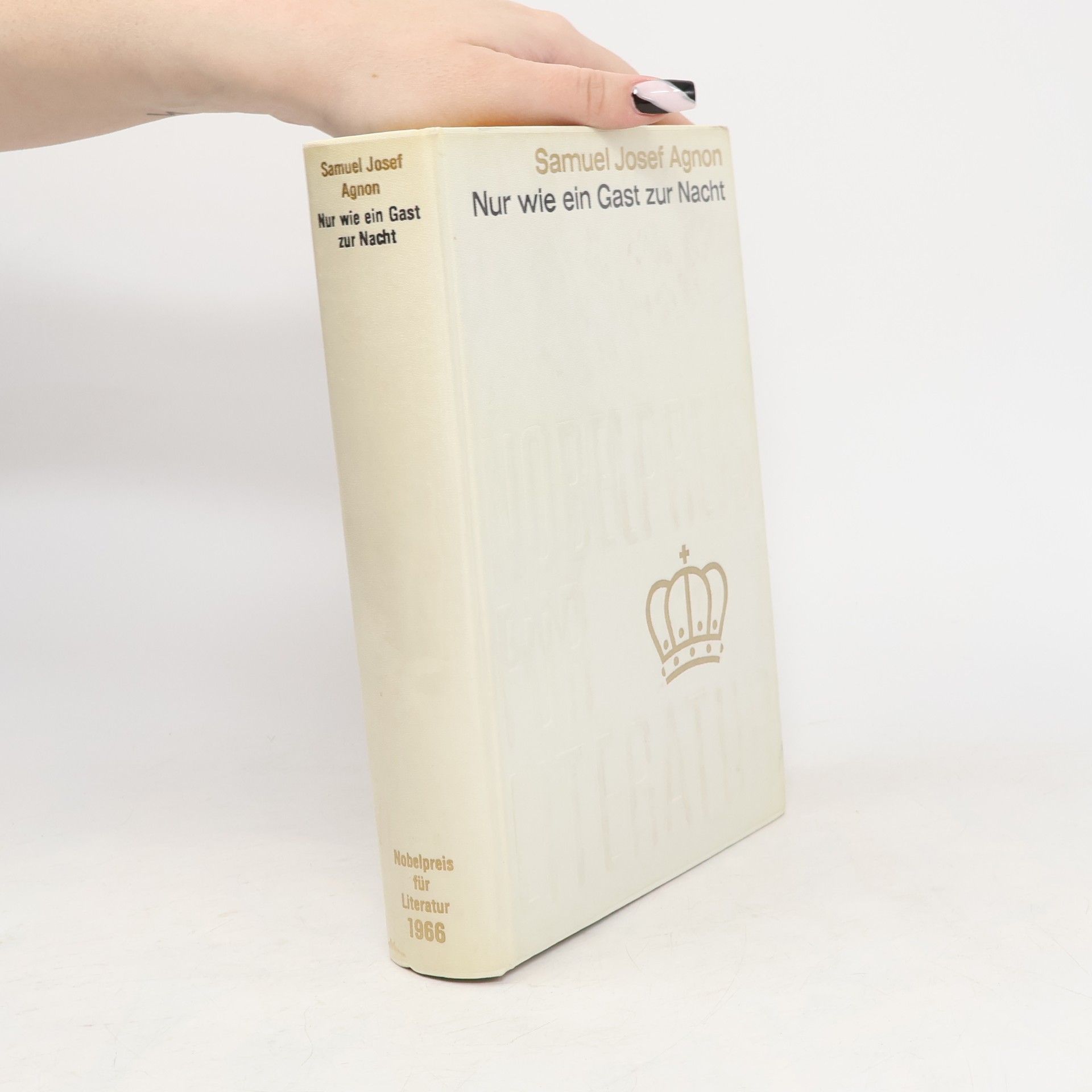 Šmuel Josef Agnon Nur wie ein Gast zur Nacht