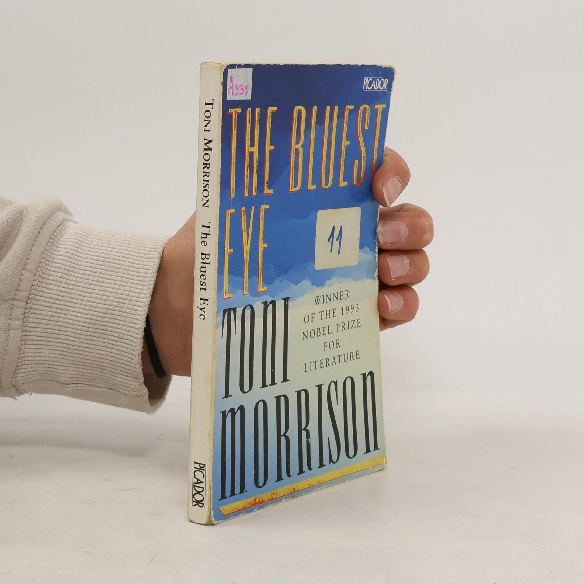 Toni Morrison The Bluest Eye