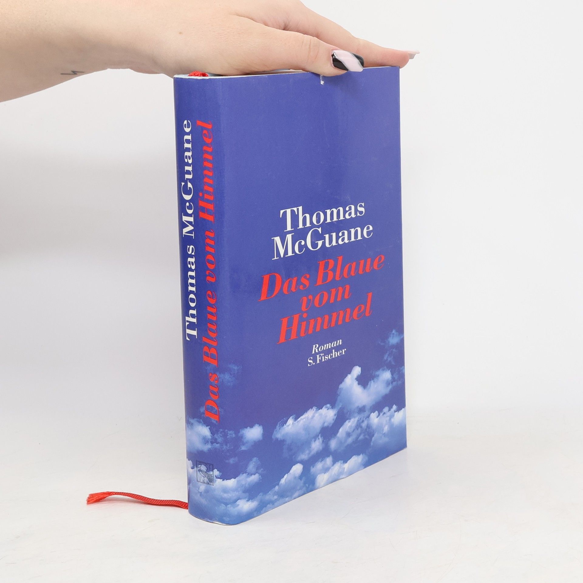 Thomas McGuane Das Blaue vom Himmel