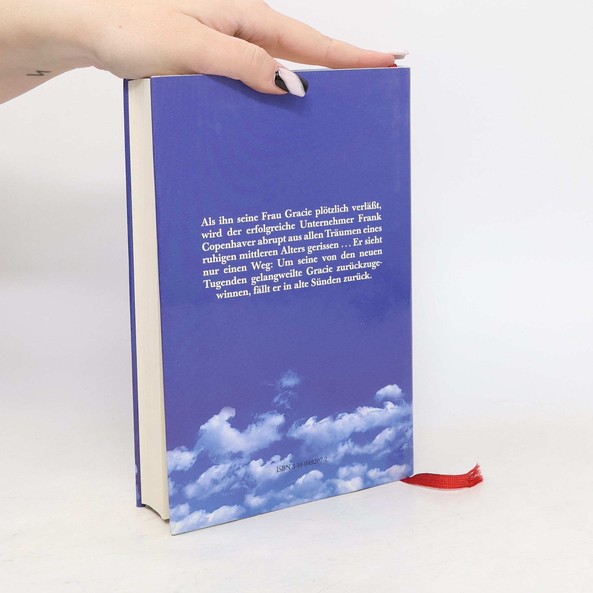 Thomas McGuane Das Blaue vom Himmel
