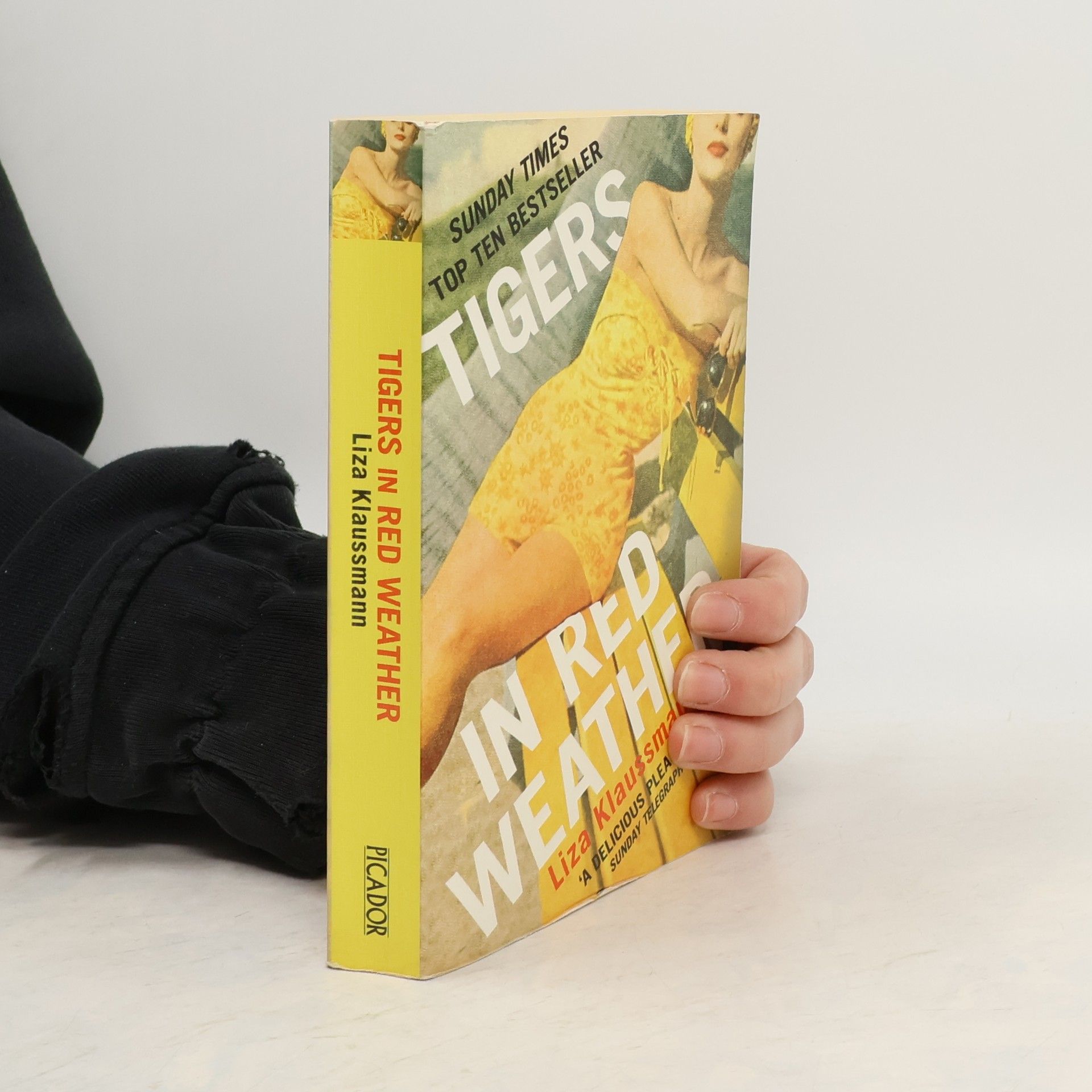 Liza Klaussmann Tigers in Red Weather