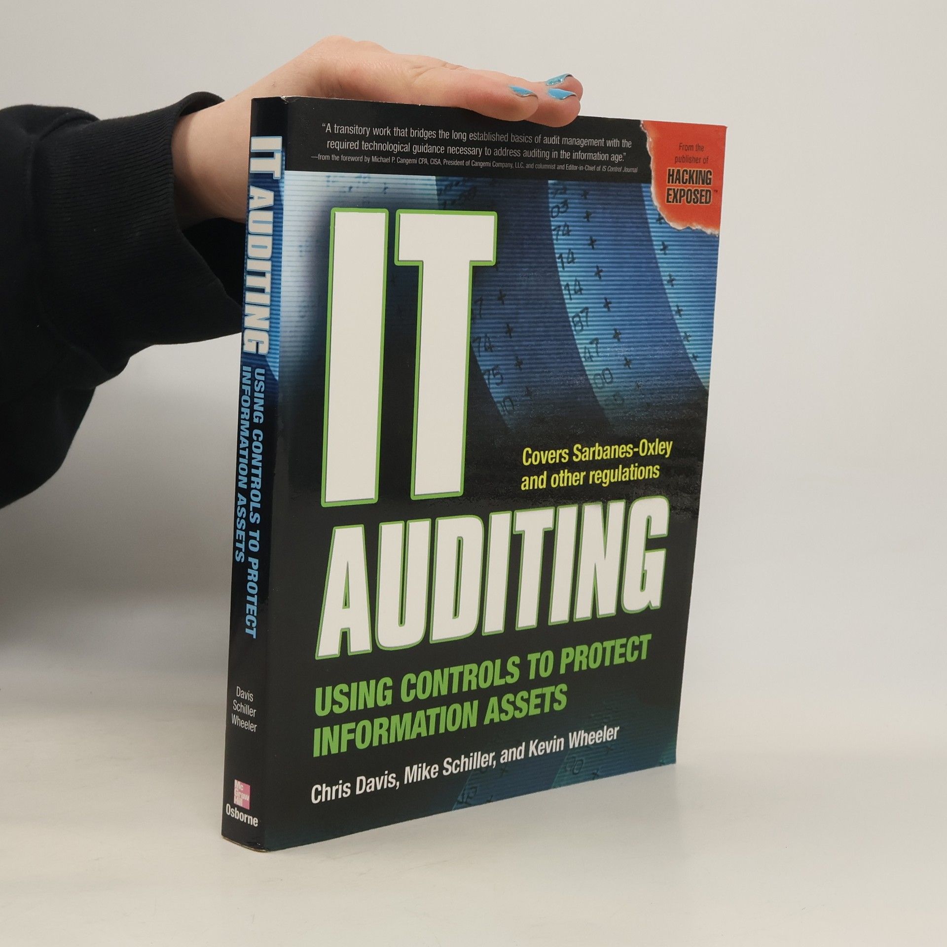 IT Auditing