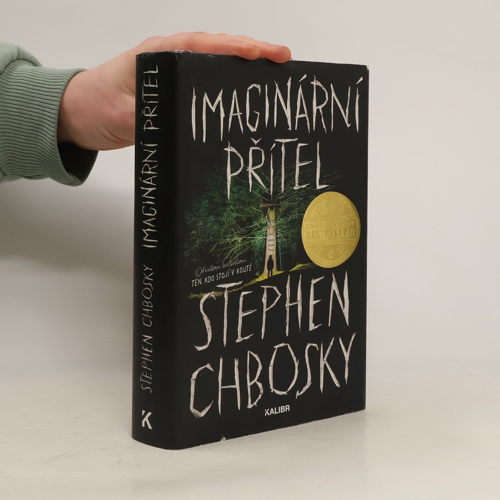 Stephen Chbosky Imaginární přítel