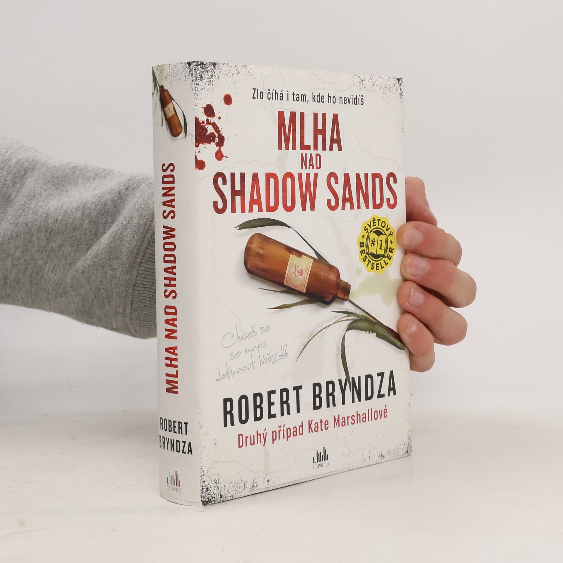Robert Bryndza Mlha nad Shadow Sands