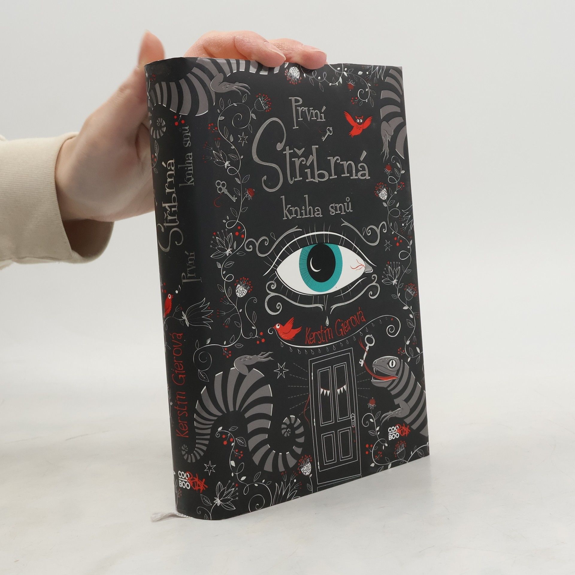 Kerstin Gier První stříbrná kniha snů