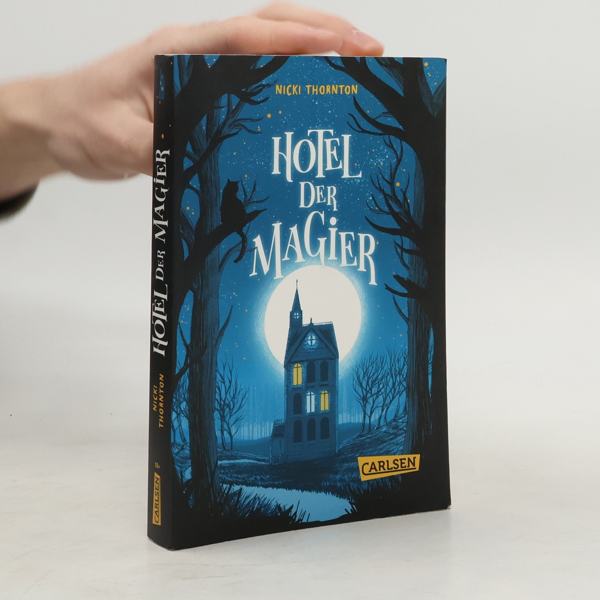 Nicki Thornton Hotel der Magier (Hotel der Magier 1)