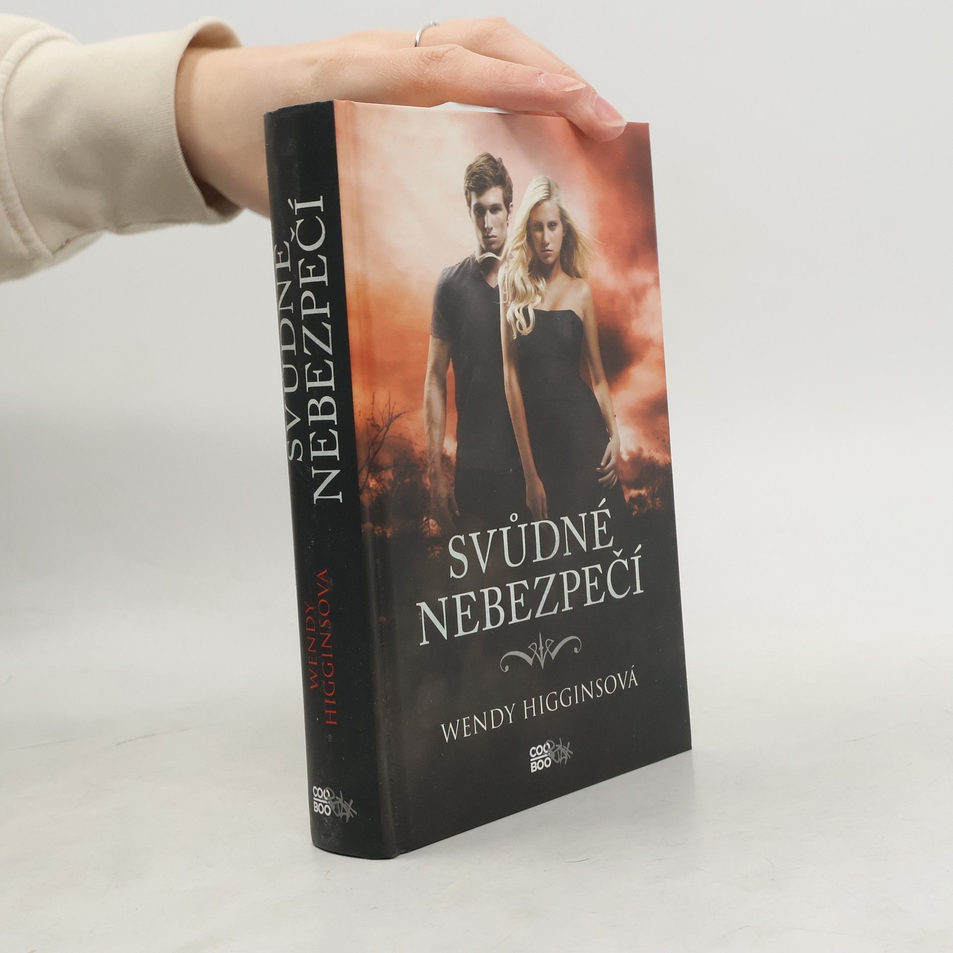 Wendy Higgins Svůdné nebezpečí