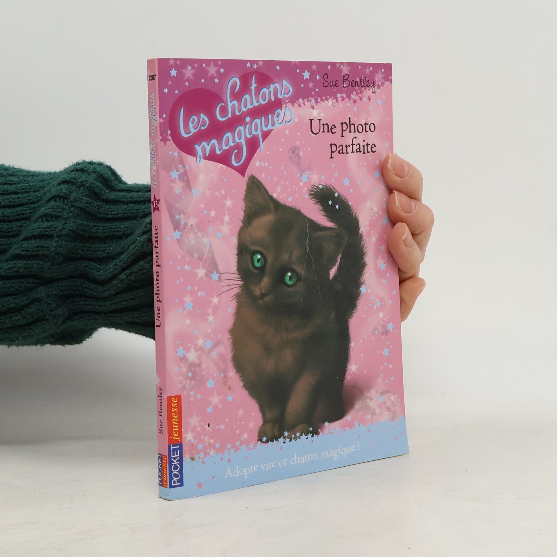 Sue Bentley Une photo parfaite