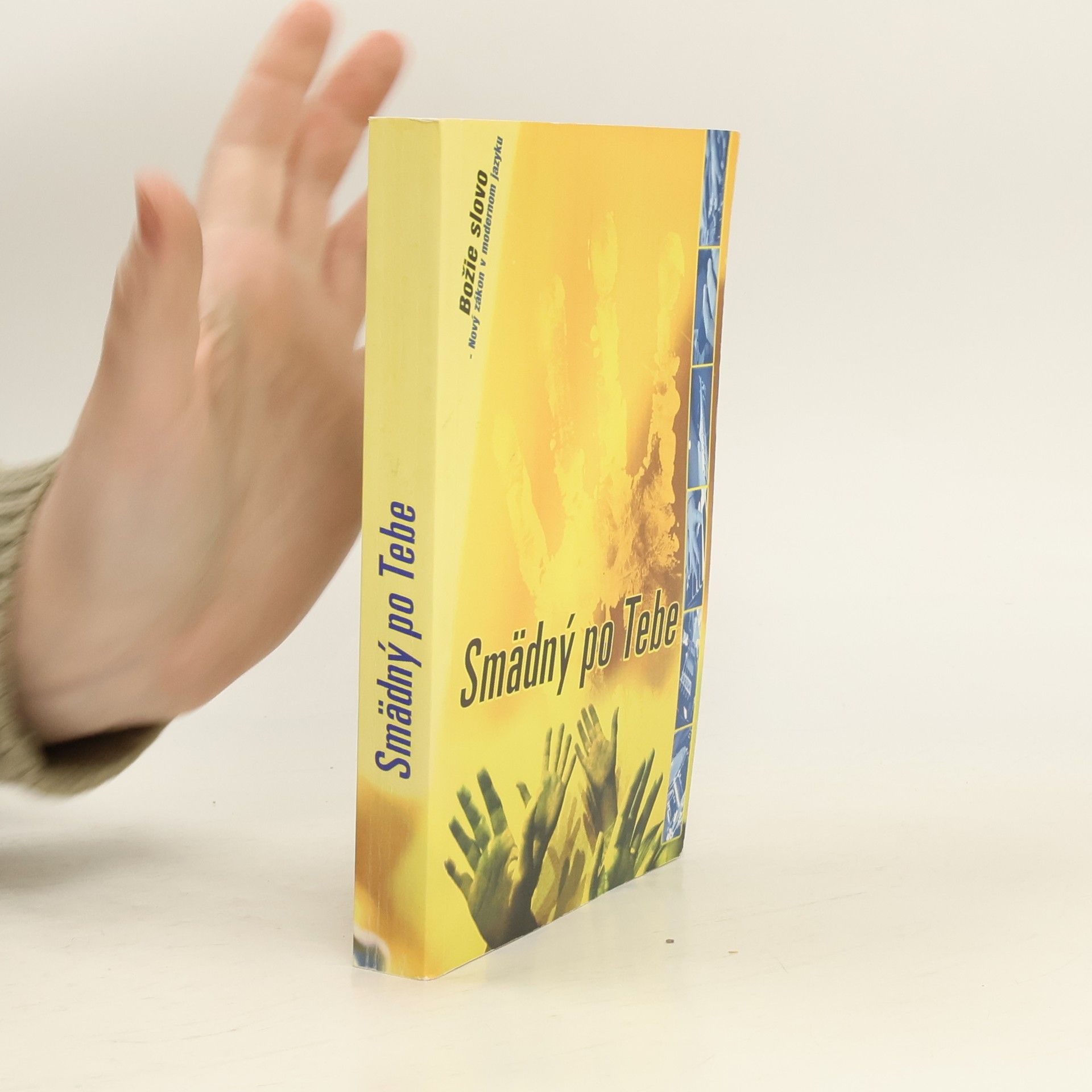 AA.VV. Smädný po Tebe