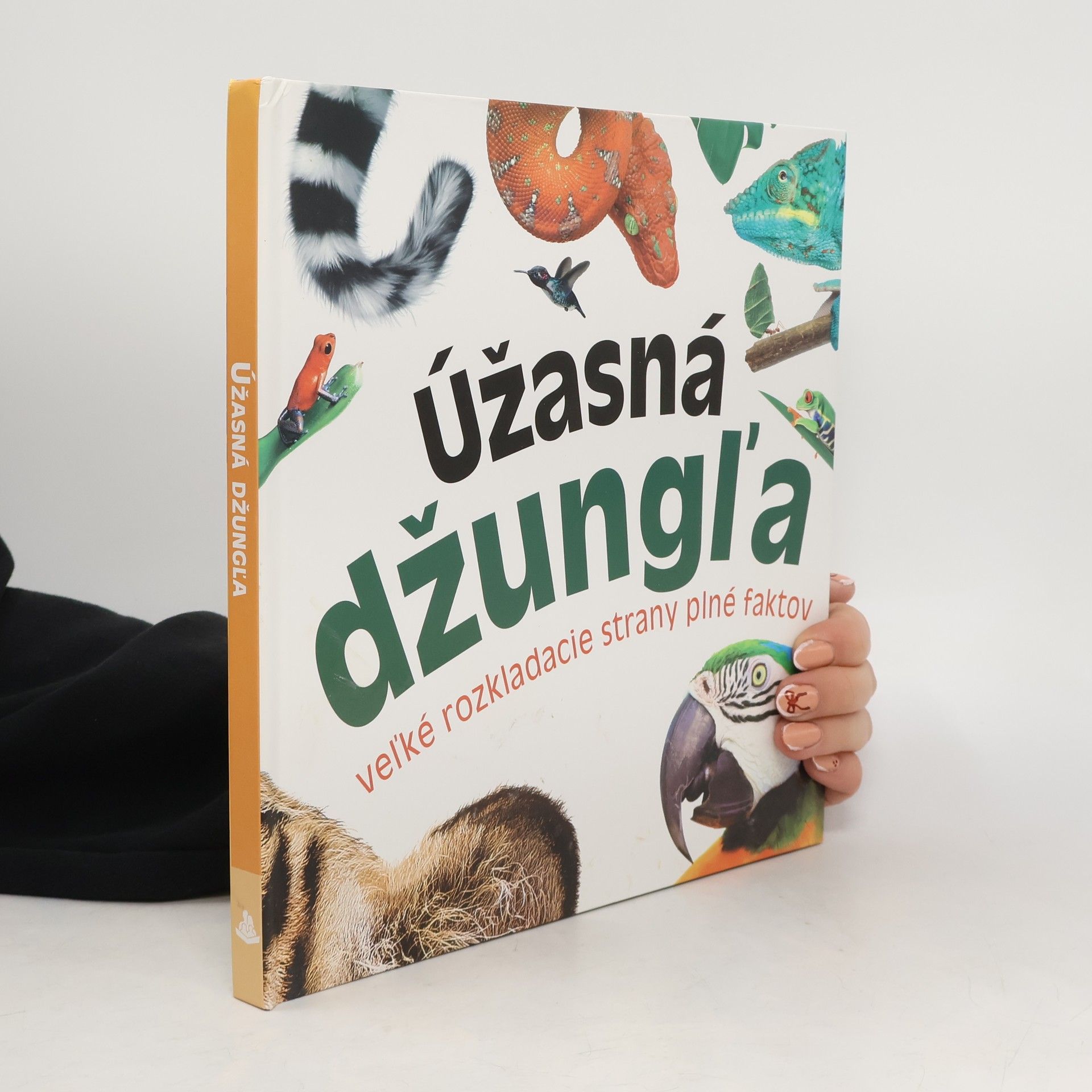 Autorenkollektiv Úžasná džungľa : veľké rozkladacie strany plné faktov