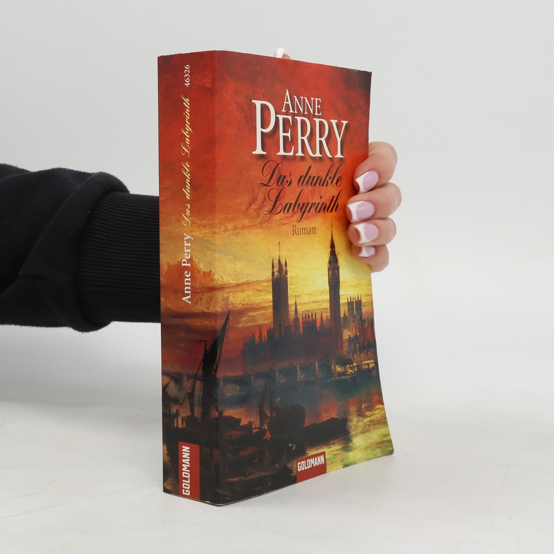 Anne Perry Das dunkle Labyrinth