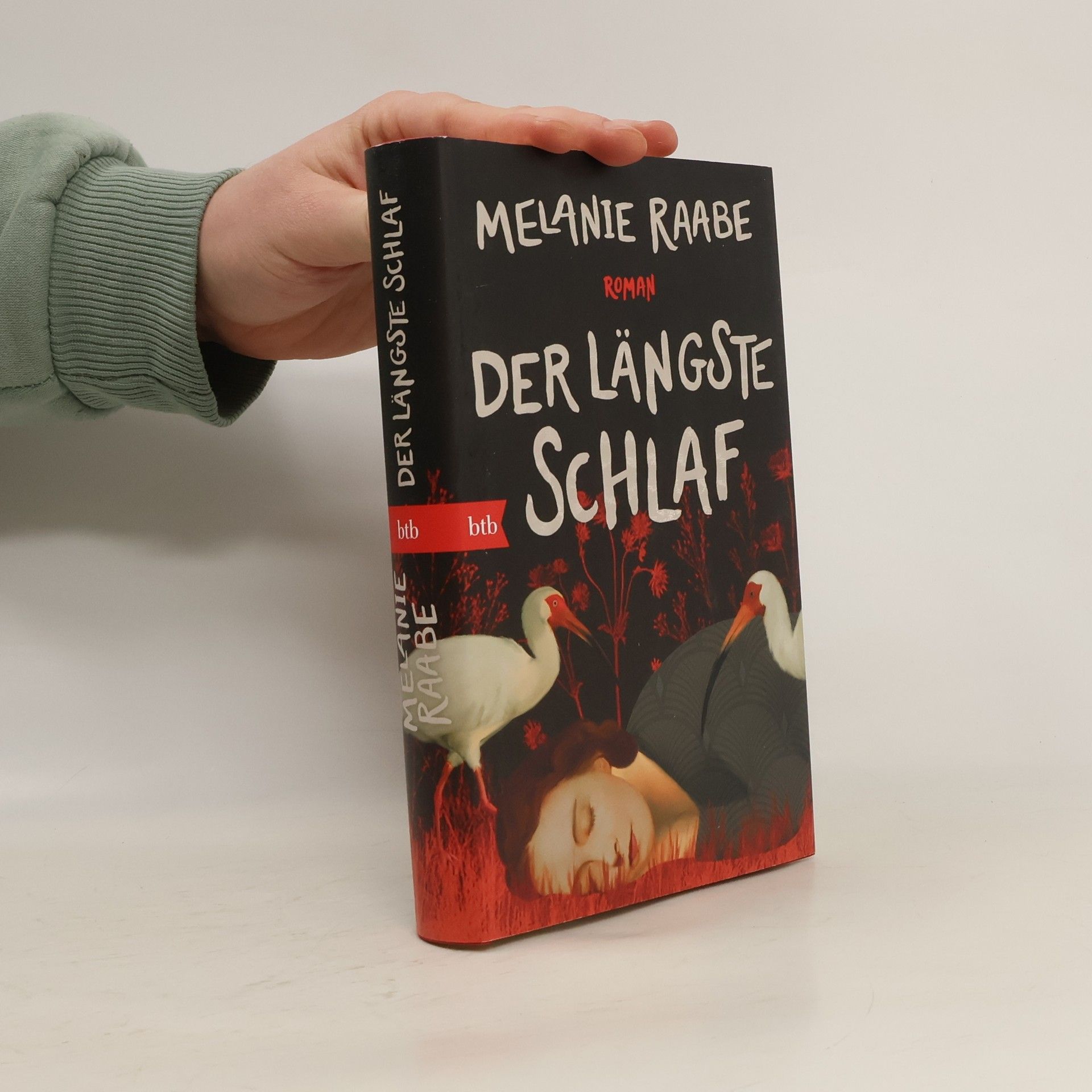 Der längste Schlaf. Roman