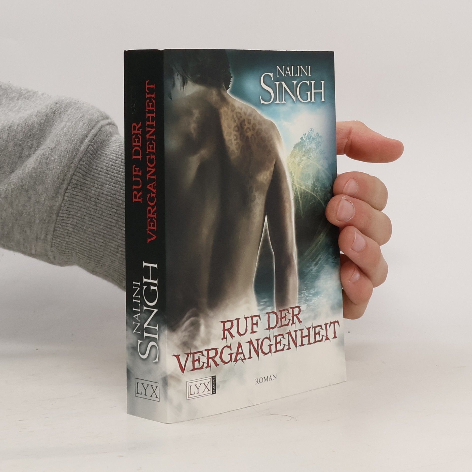 Nalini Singh Ruf der Vergangenheit