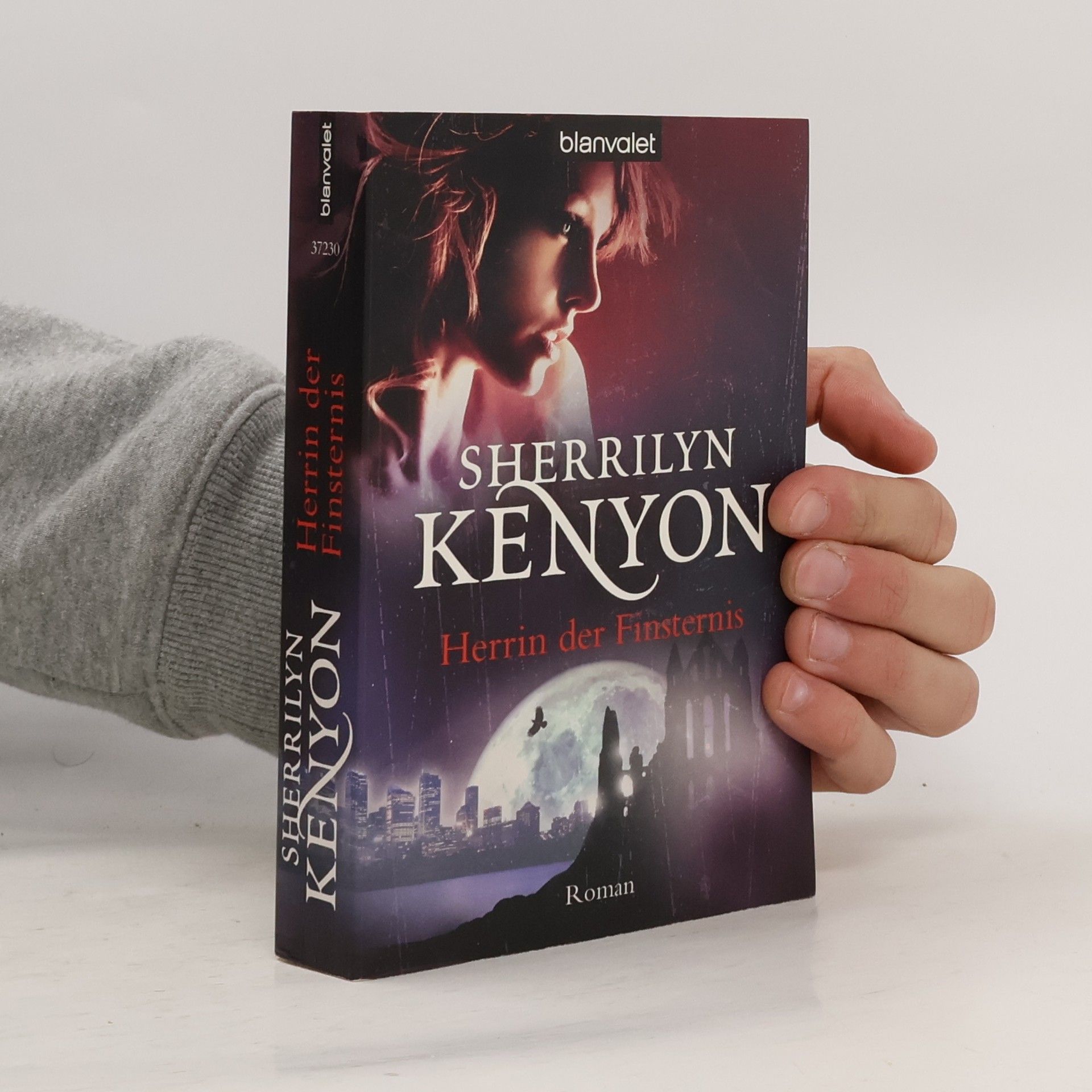 Kinley MacGregor Herrin der Finsternis