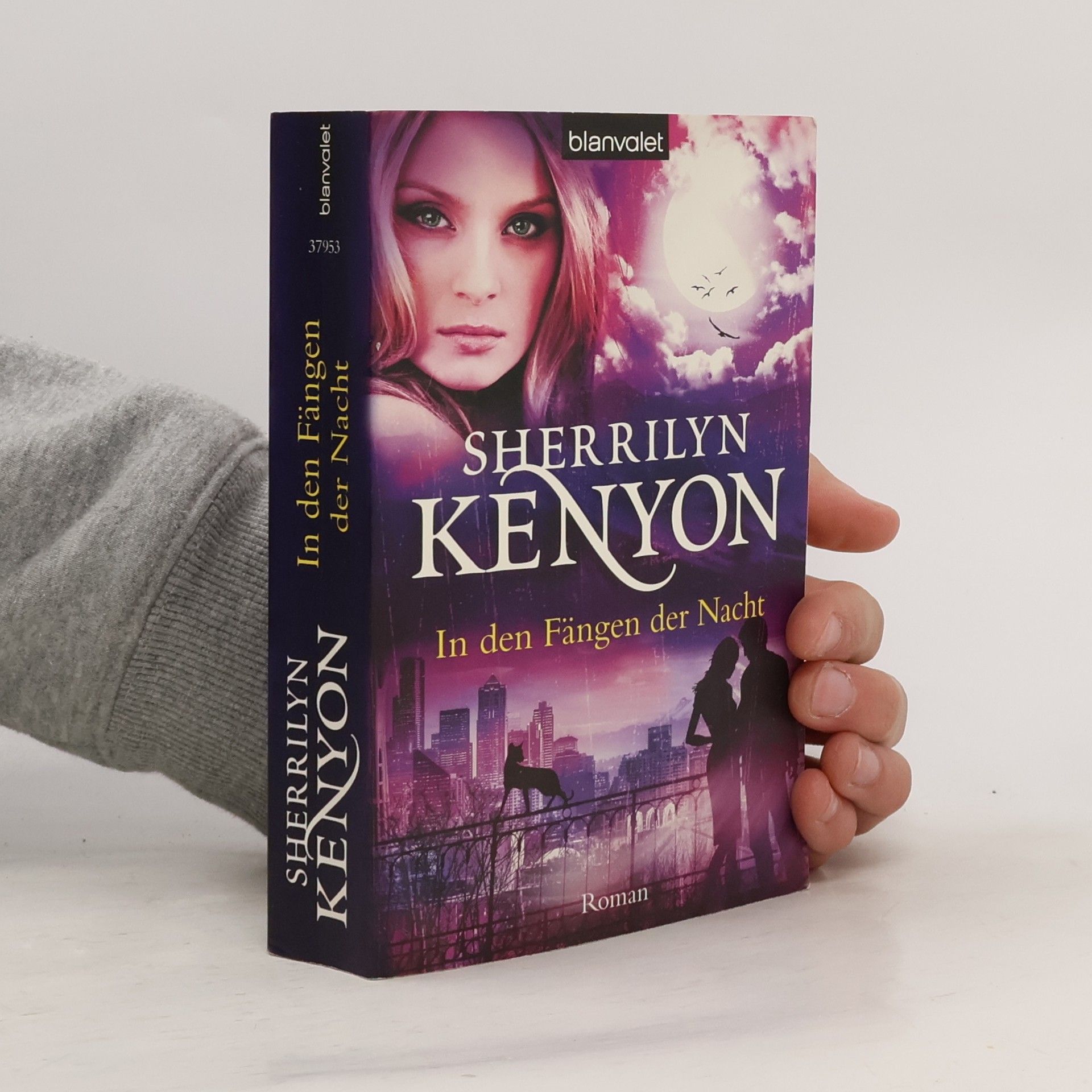 Kinley MacGregor In den Fängen der Nacht