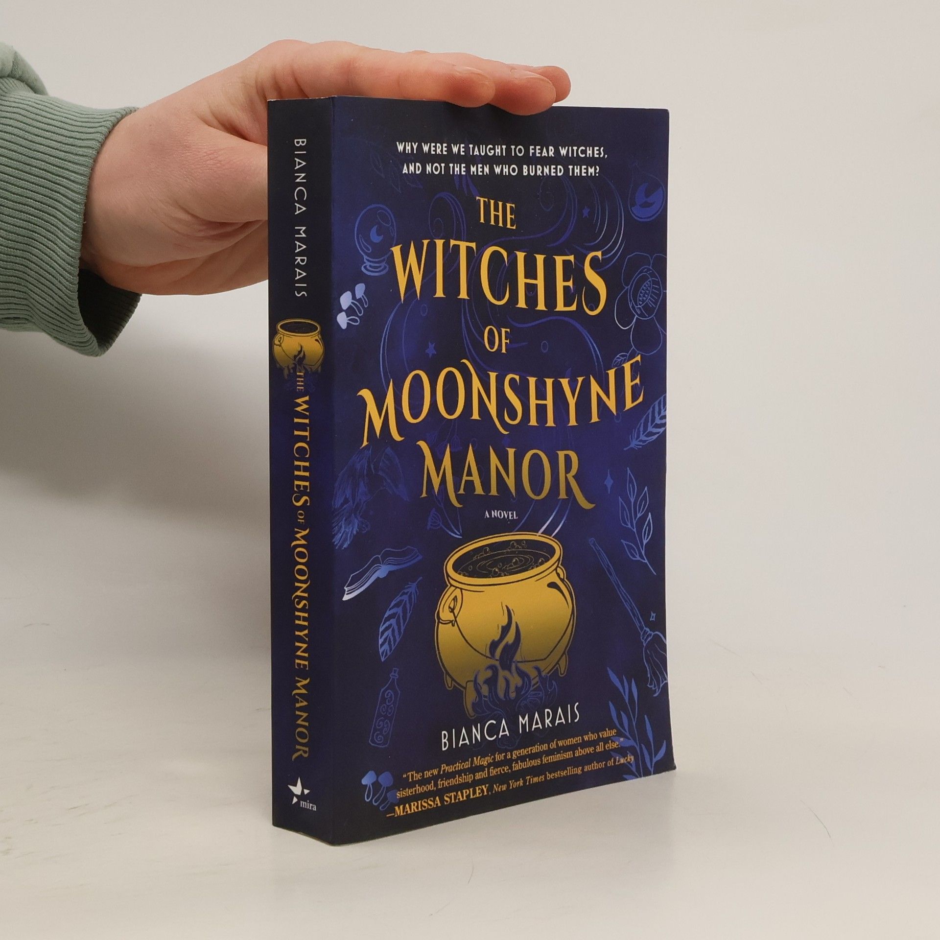 Bianca Marais The Witches of Moonshyne Manor