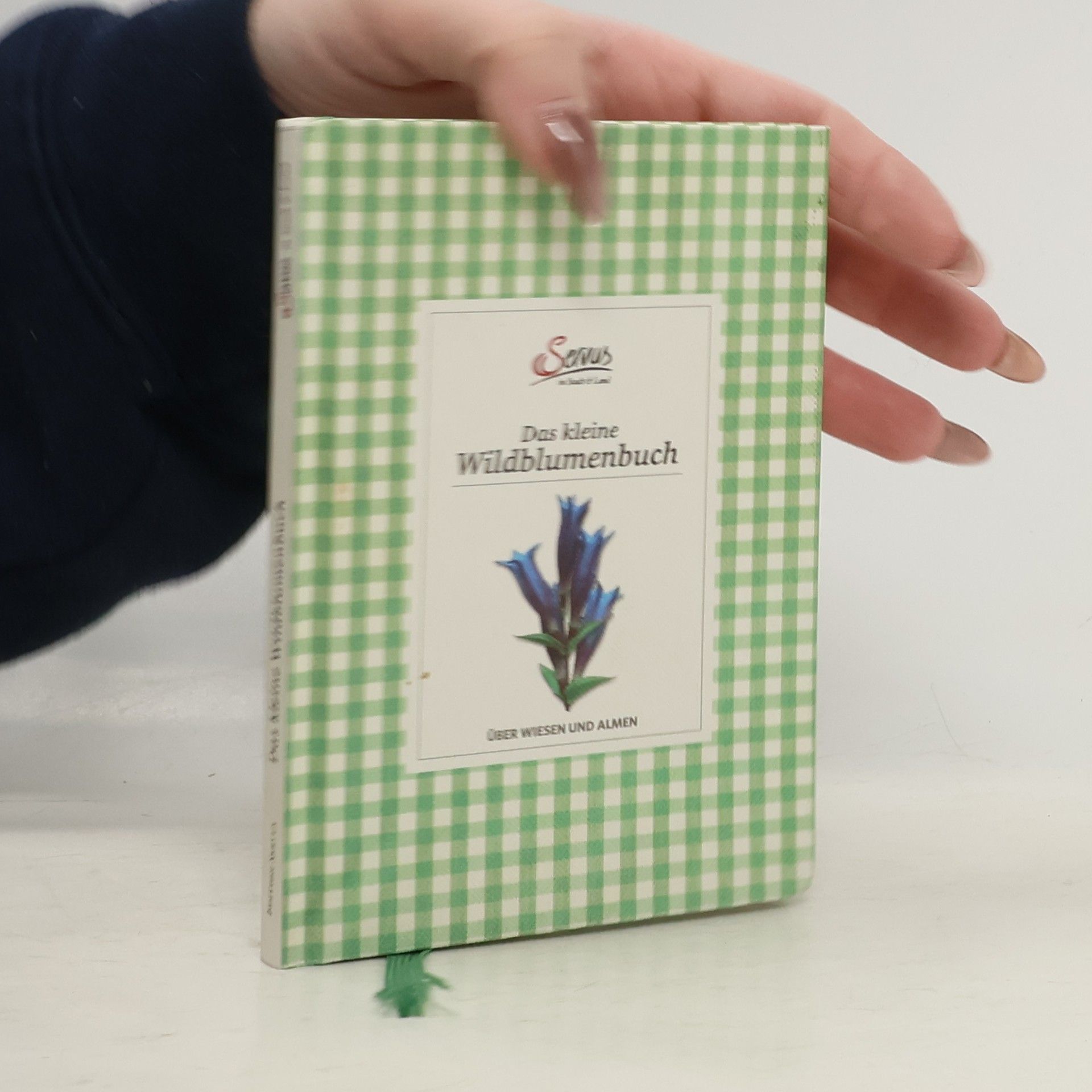 Miriam Wiegele Das kleine Wildblumenbuch