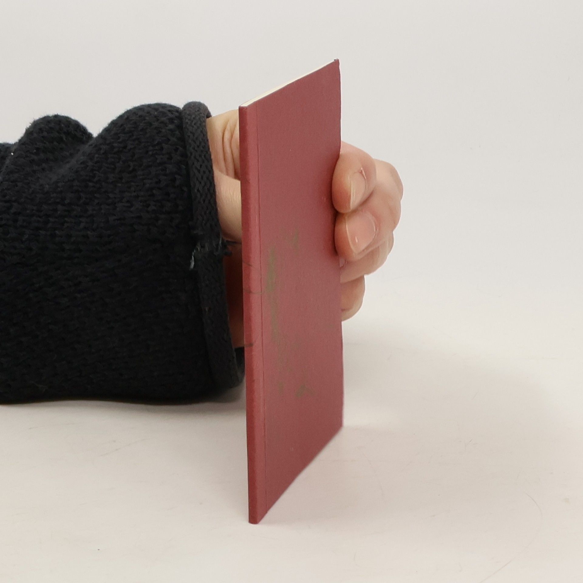 Knorová Lidka Básničky do dlaně a pod polštář