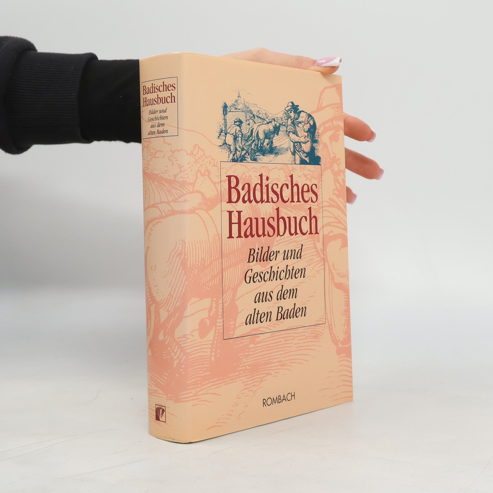Diethard H. Klein Badisches Hausbuch