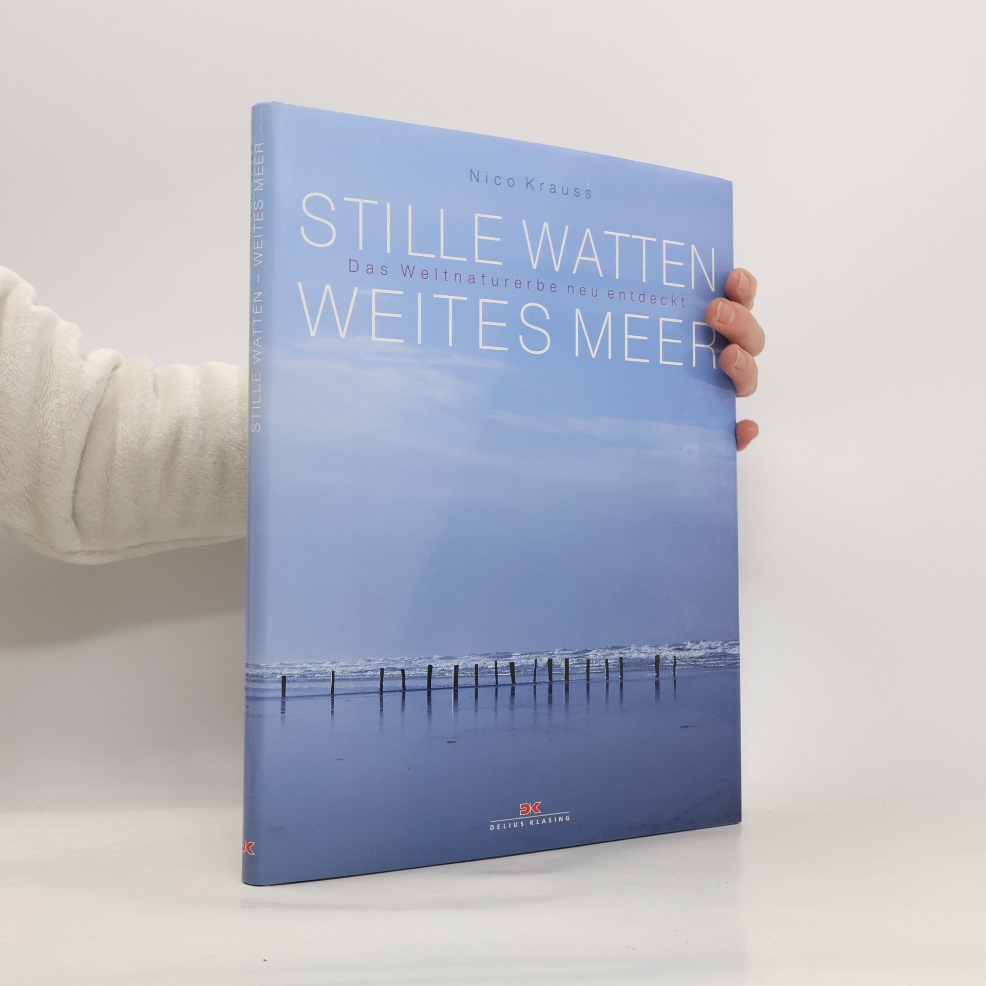 Nico Krauss Stille Watten, weites Meer