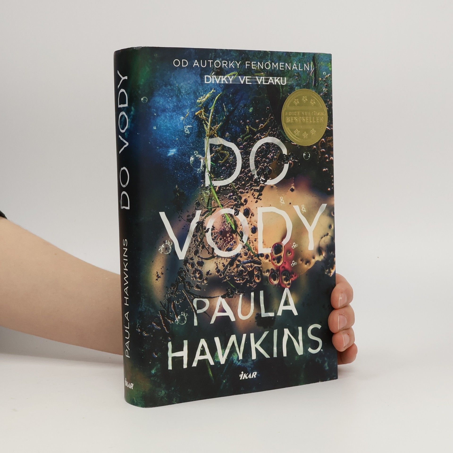 Paula Hawkinsová Do vody