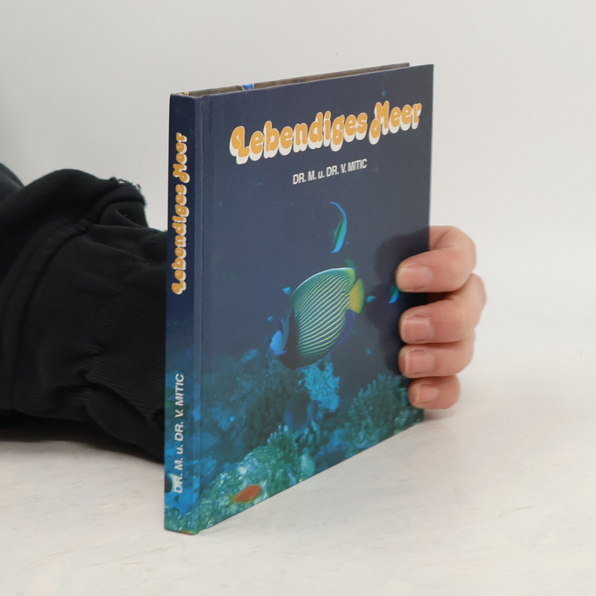 V. Mitic Lebendiges Meer