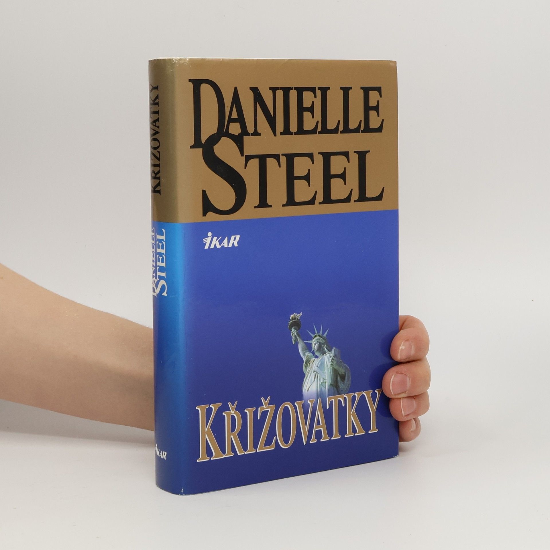 Danielle Steel Křižovatky