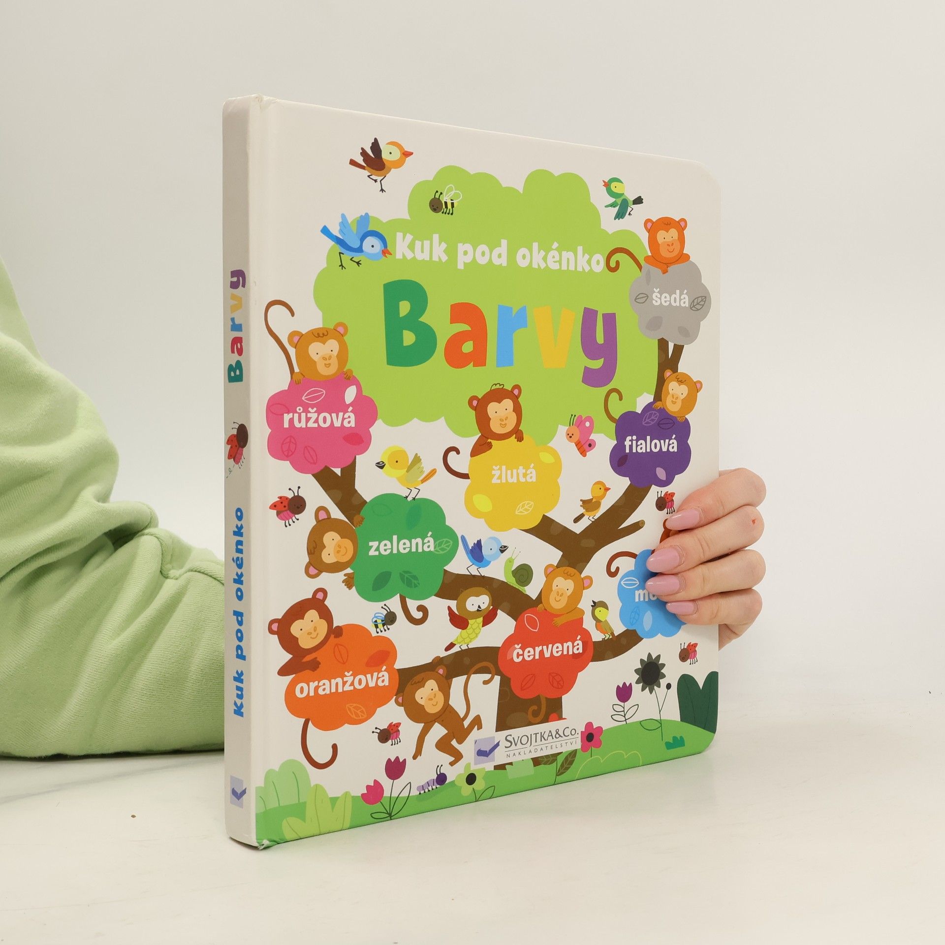 Felicity Brooks Barvy: Otevři okénko (pop-up)