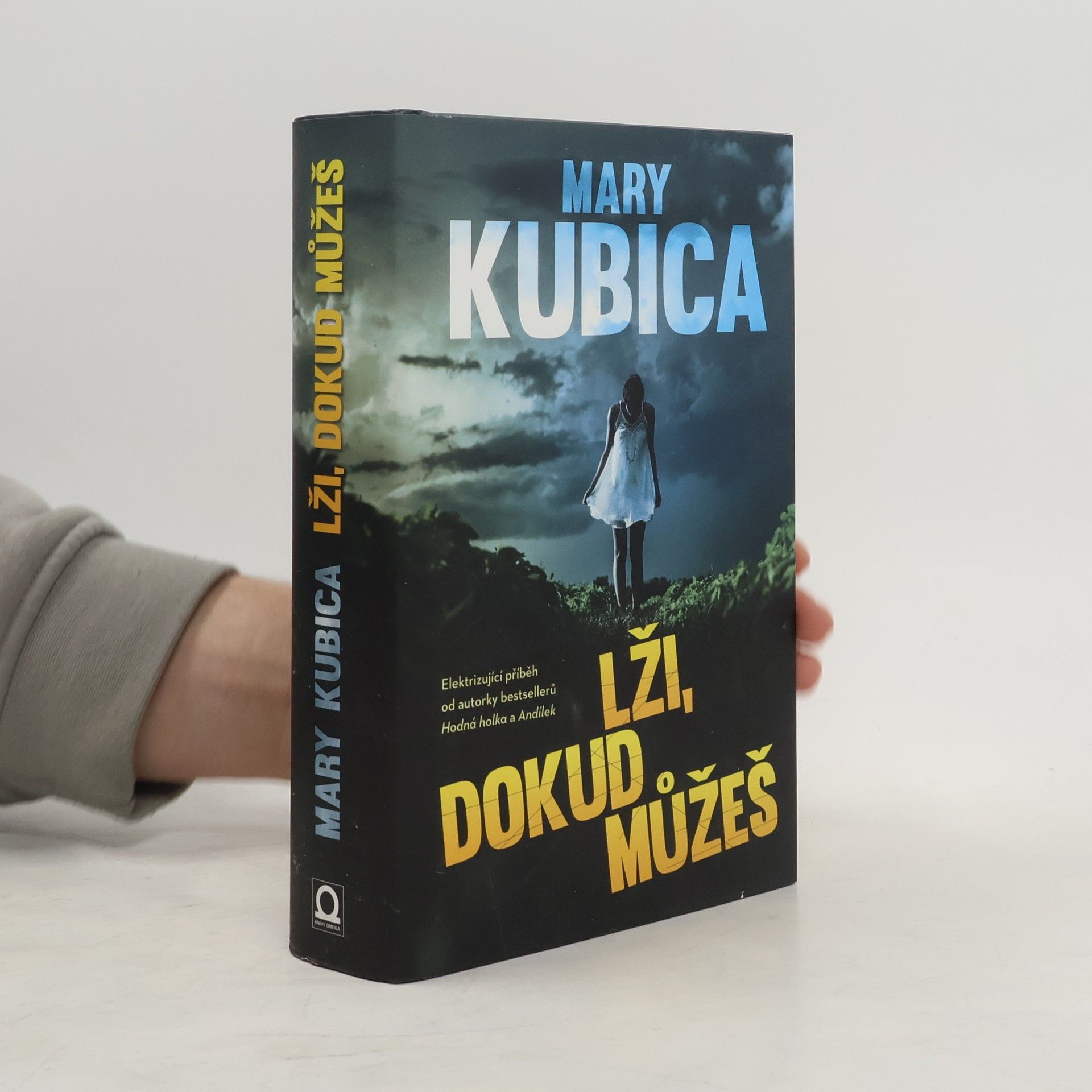 Mary Kubica Lži, dokud můžeš