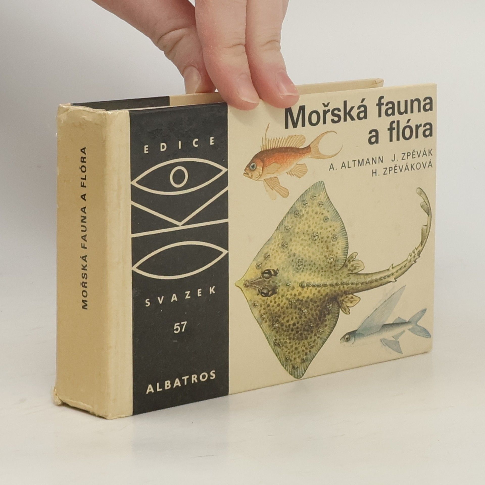 Mořská fauna a flóra