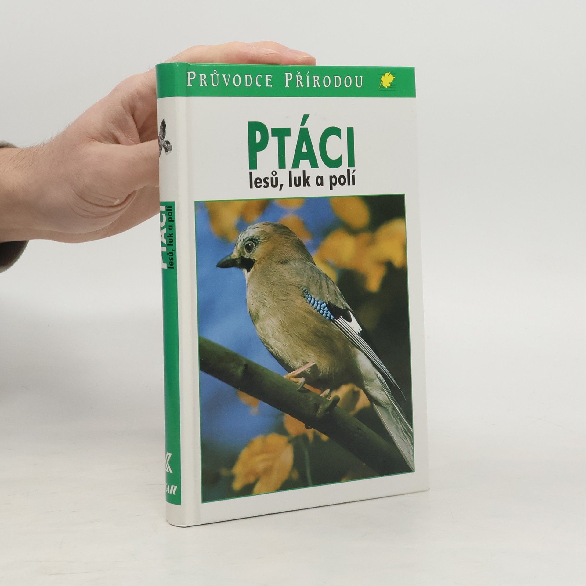 Sauer Frieder Ptáci lesů, luk a polí