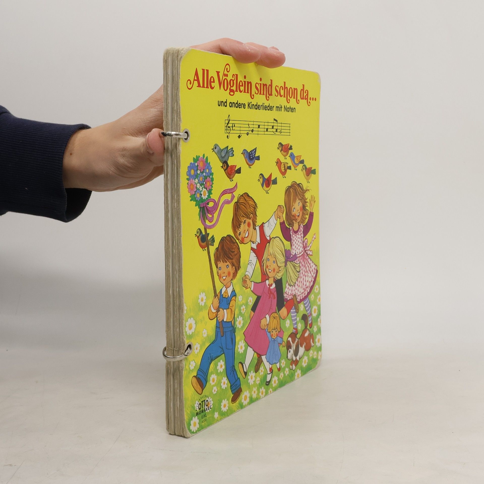 AA.VV. Alle Vöglein sind schon da. Und andere Kinderleider mit Noten