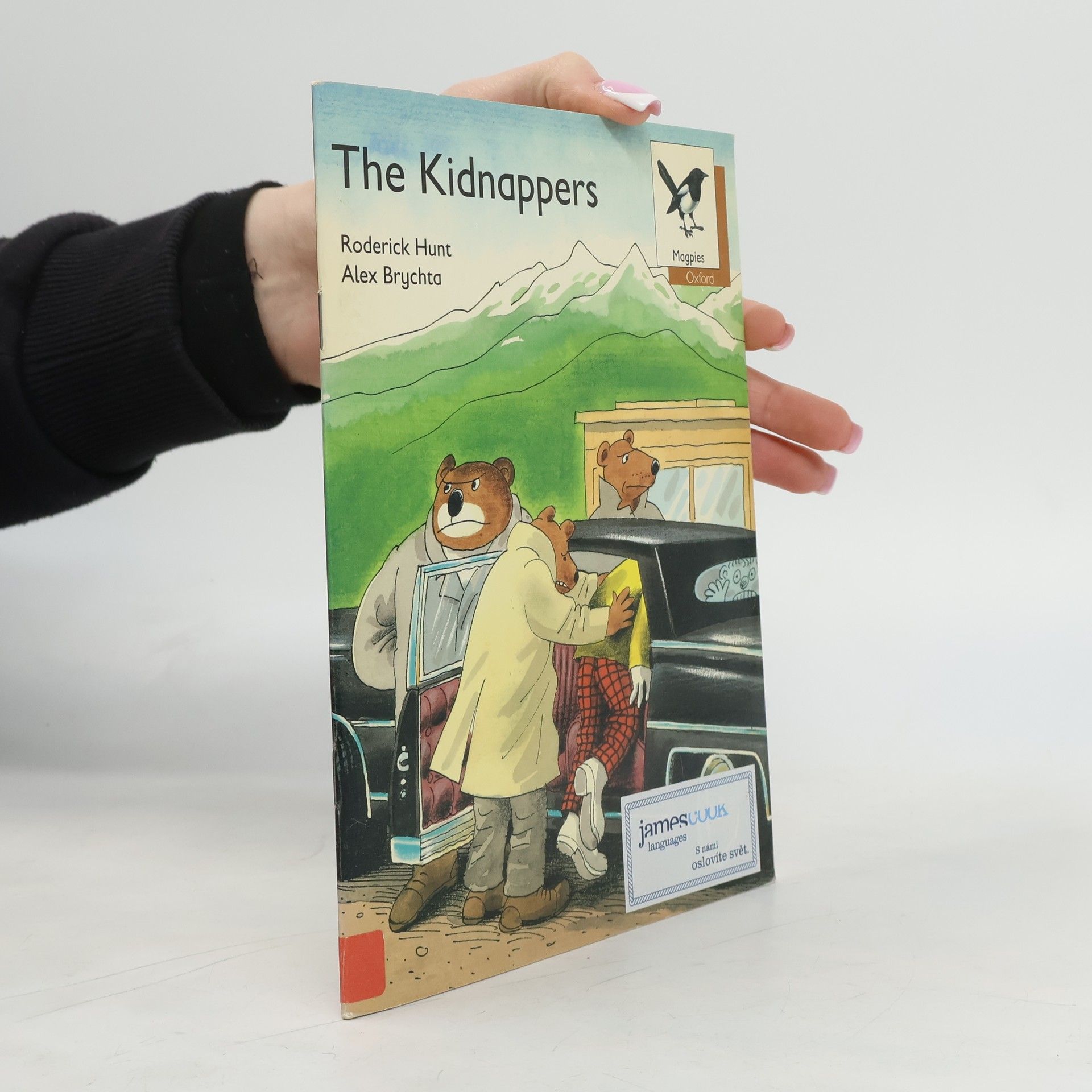 Roderick Hunt Magpies Storybooks: The Kidnappers