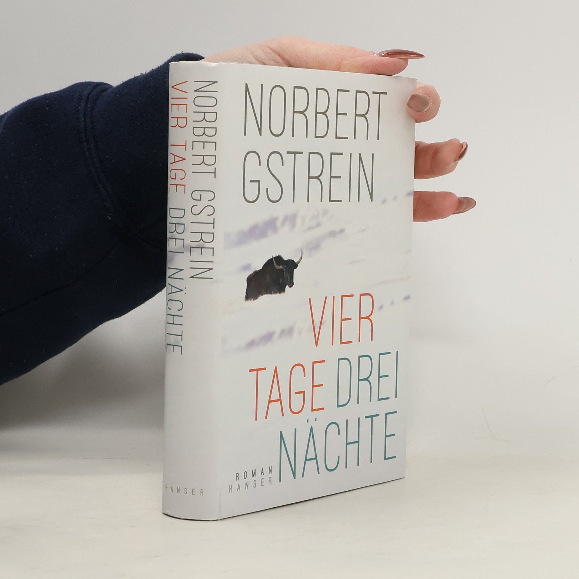 Norbert Gstrein Vier Tage, drei Nächte